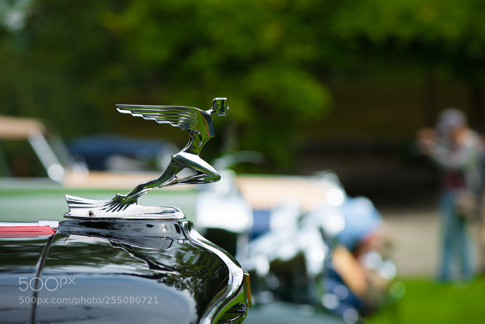 Nikon D800 sample photo. Yesterday's automobile photography