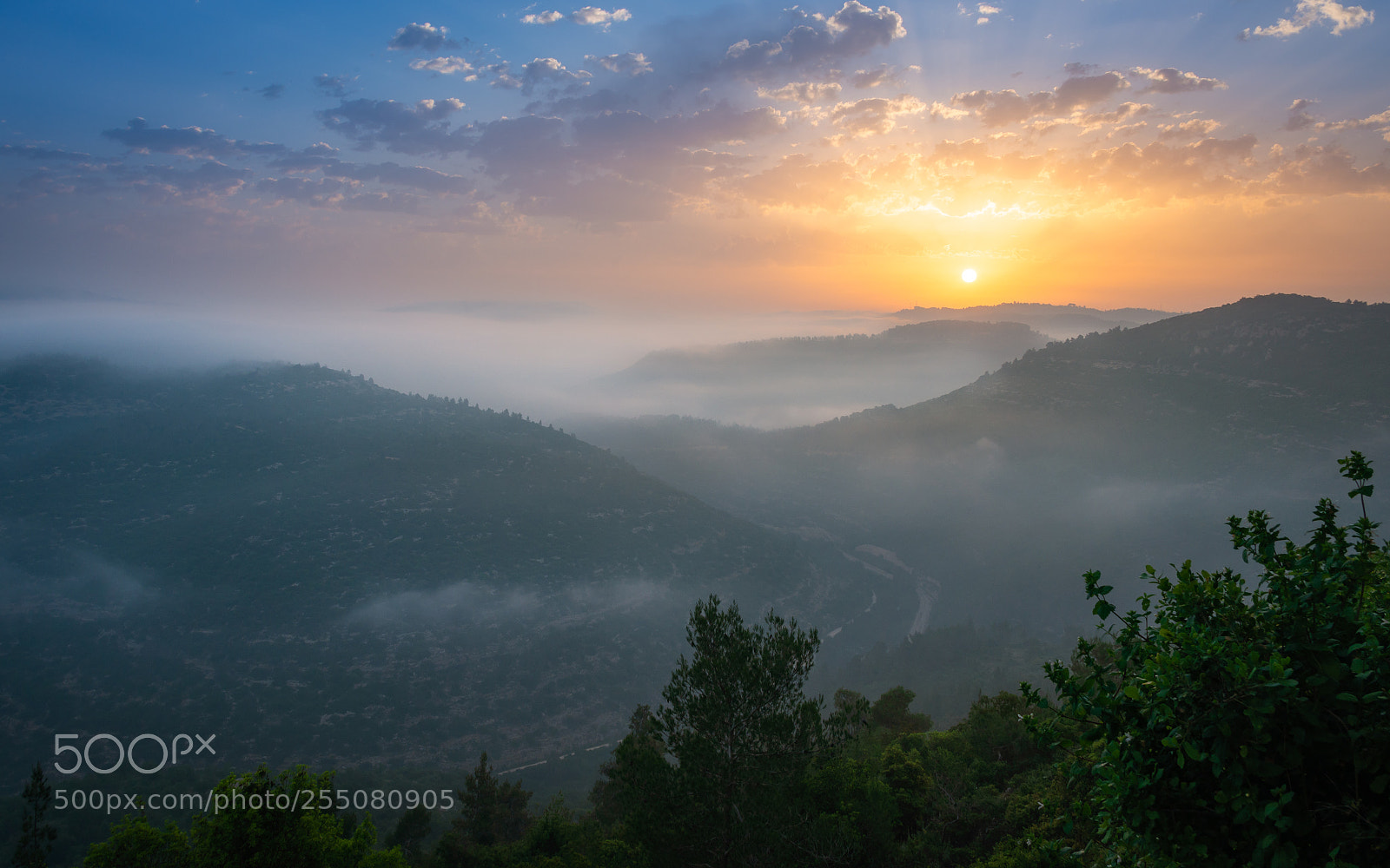 Nikon D610 sample photo. Misty sunrise photography