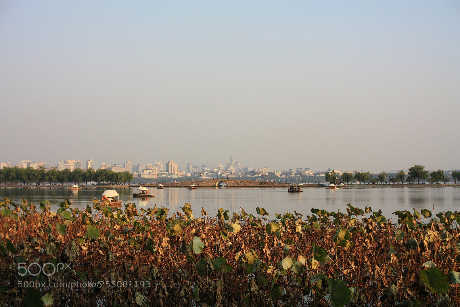 Canon EOS 450D (EOS Rebel XSi / EOS Kiss X2) sample photo. Jindai bridge hangzhou photography