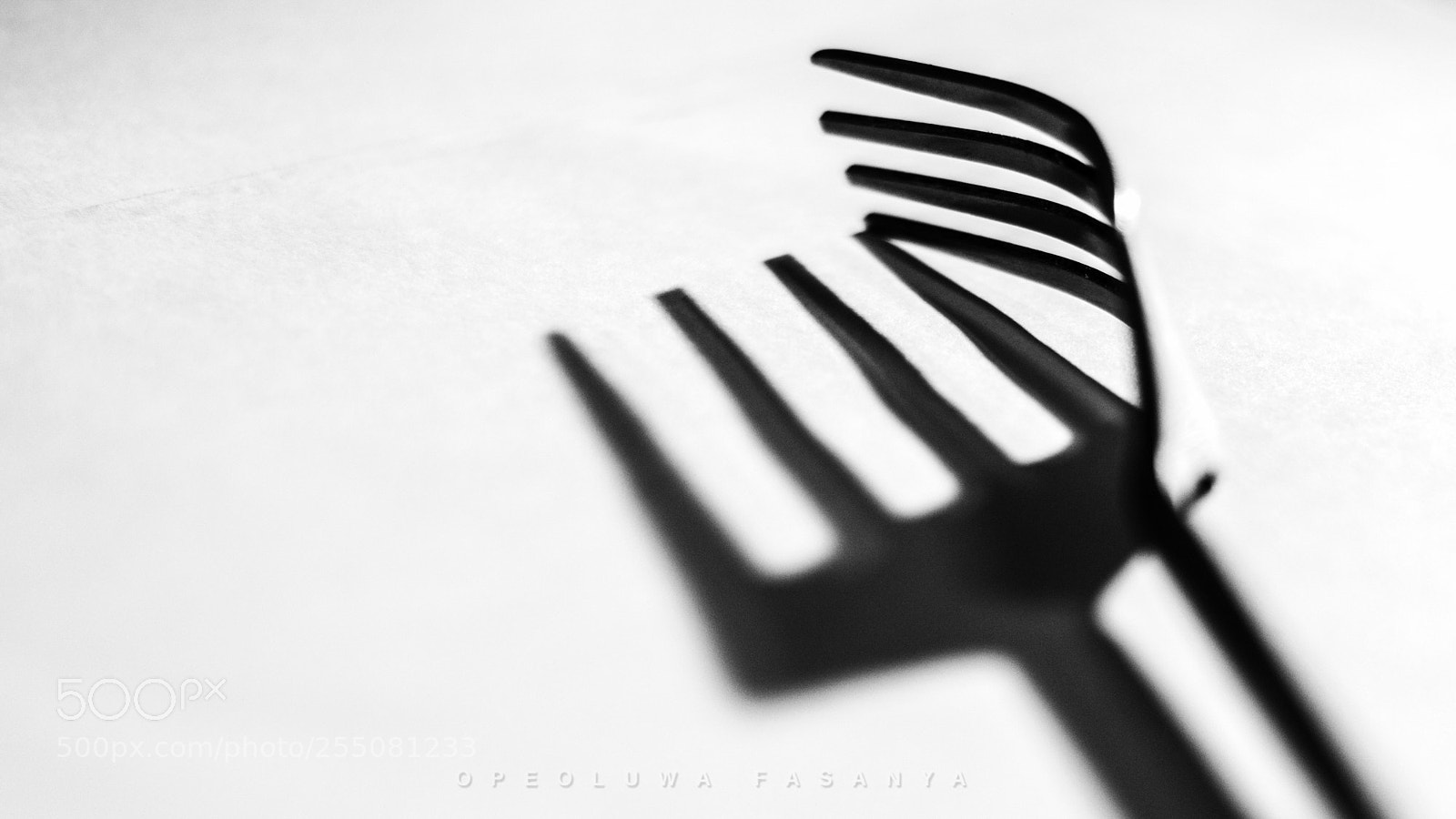 Nikon D5300 sample photo. Fork and shadows photography