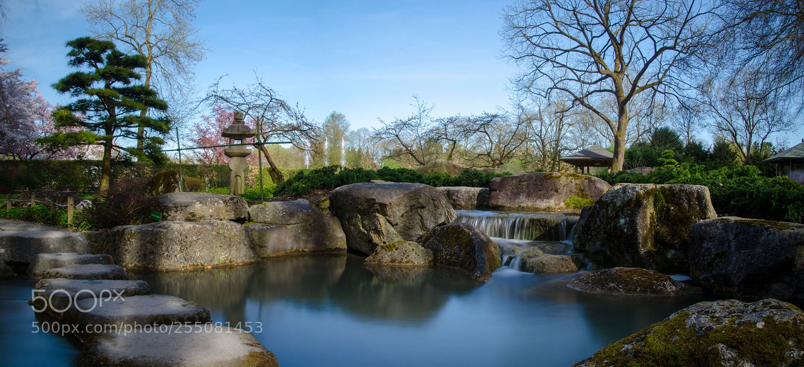 Nikon D5100 sample photo. Zen photography