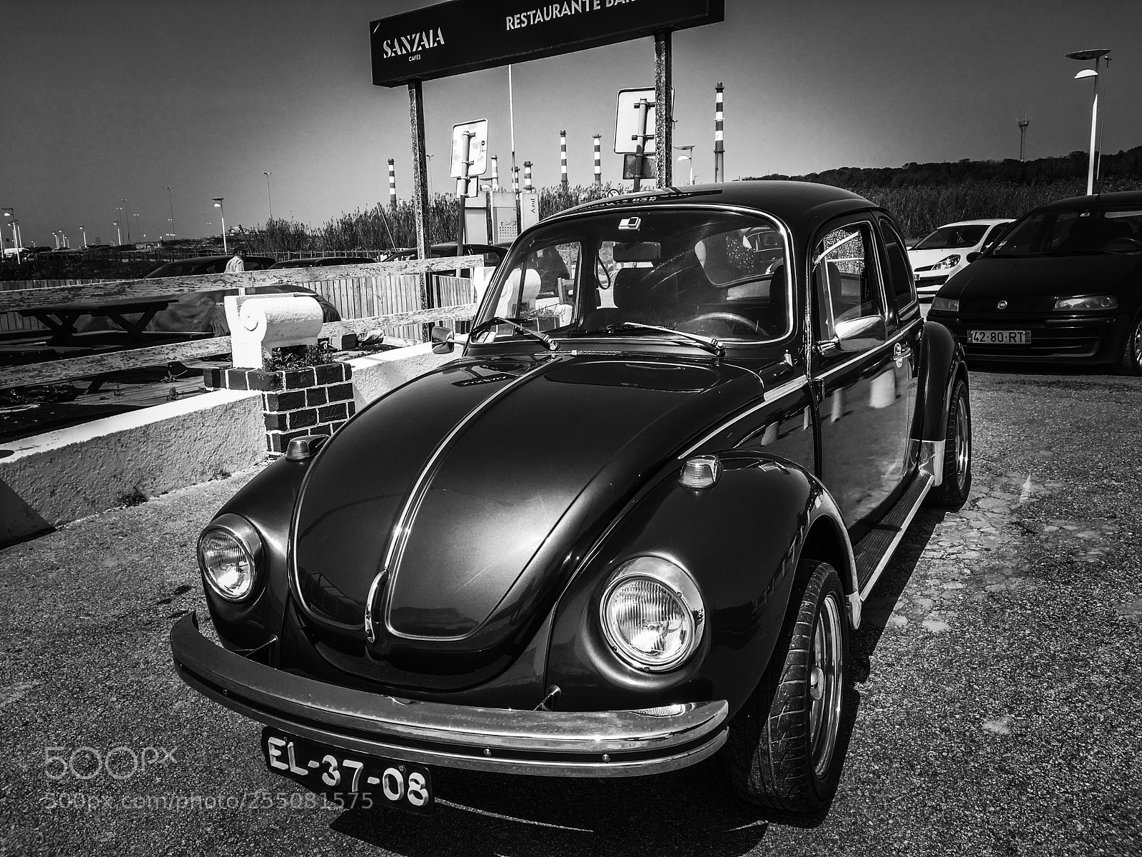 Apple iPhone SE sample photo. Beetle at the beach photography
