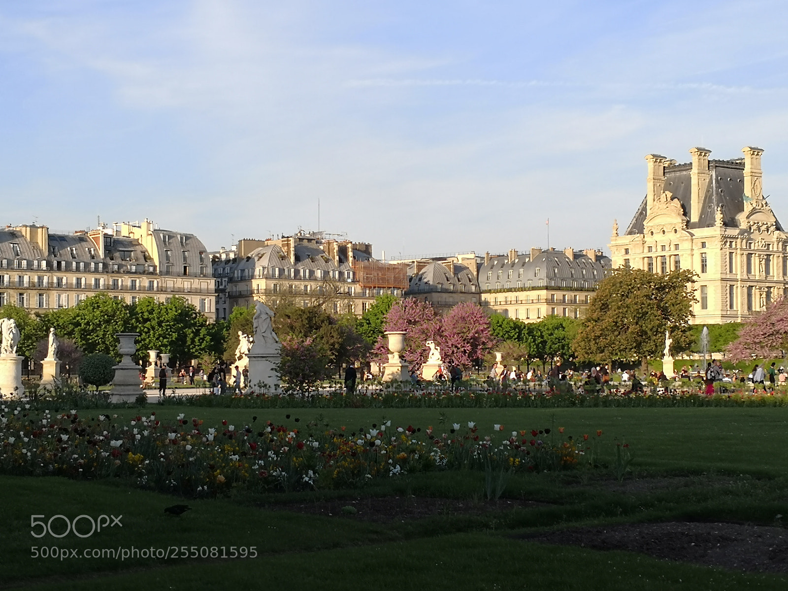 HUAWEI Mate 10 Pro sample photo. Tuileries photography