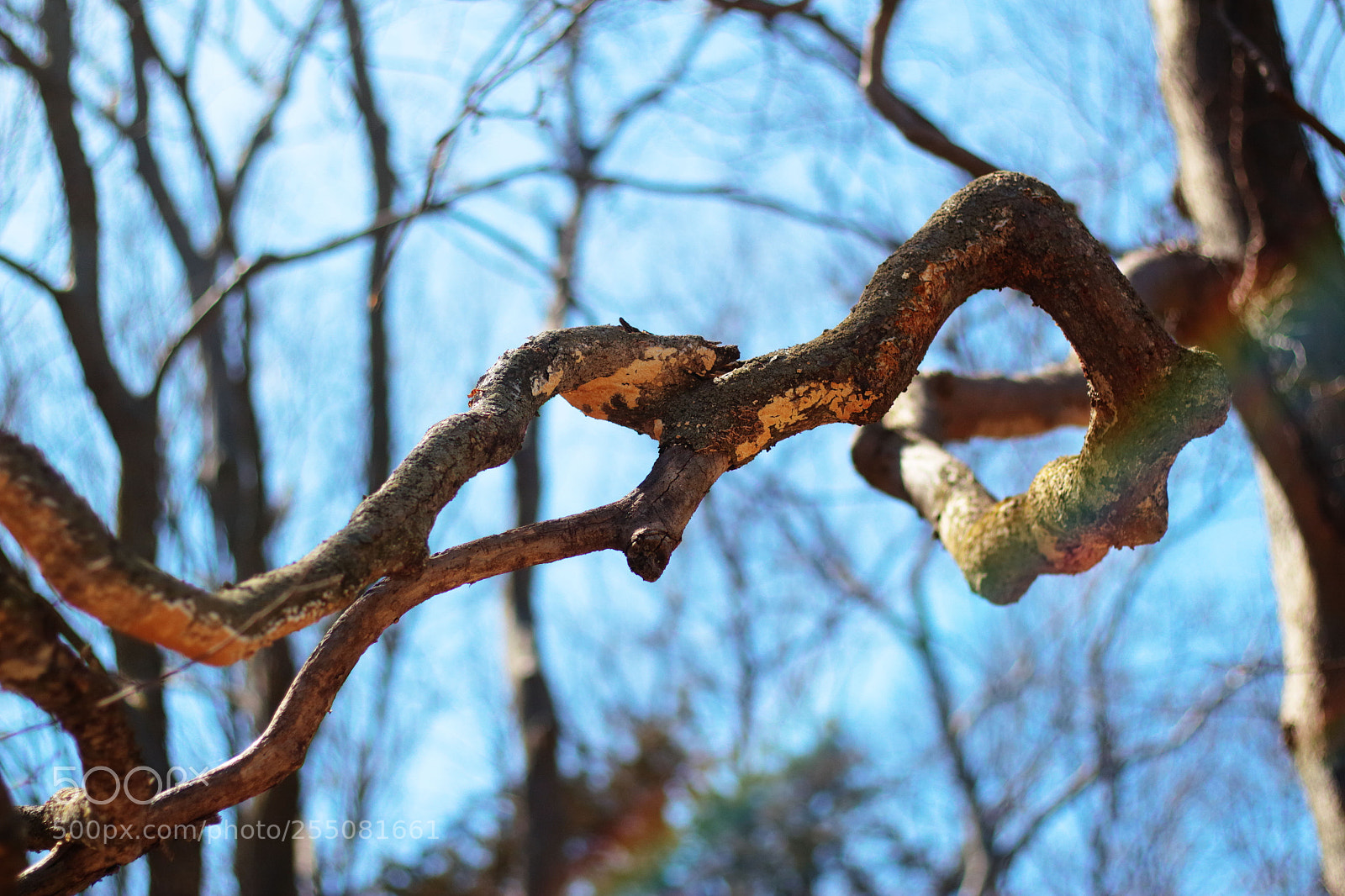 Canon EOS 700D (EOS Rebel T5i / EOS Kiss X7i) sample photo. Untitled photography