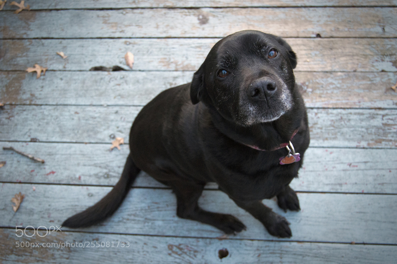 Nikon D3200 sample photo. Avon photography