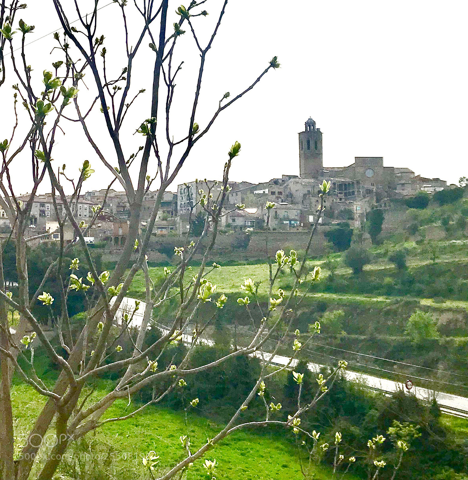 Apple iPhone 7 Plus sample photo. Cervera photography