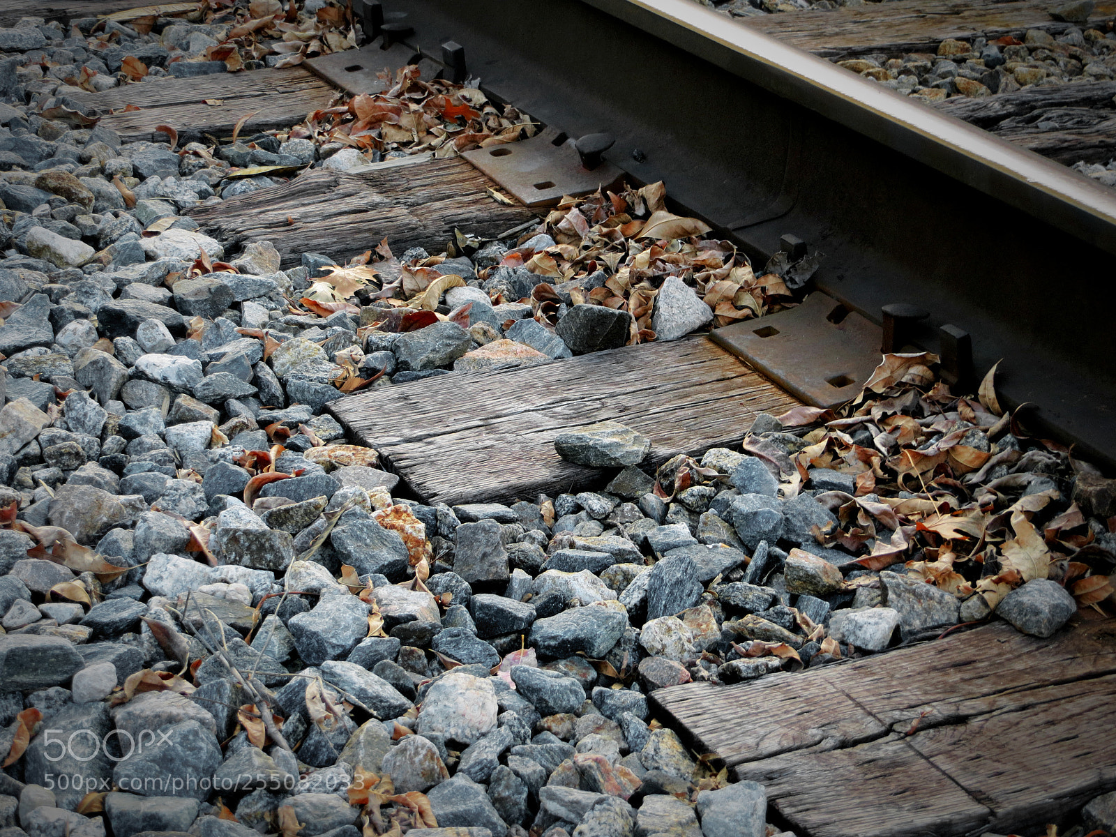 Canon PowerShot SX260 HS sample photo. Tracks photography