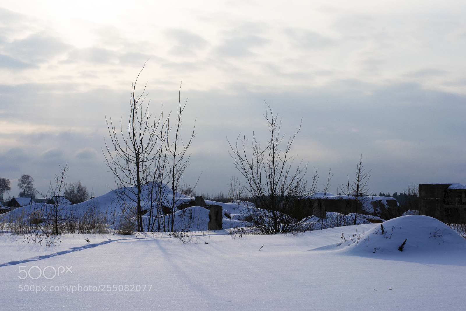 Nikon D3100 sample photo. Solitude photography