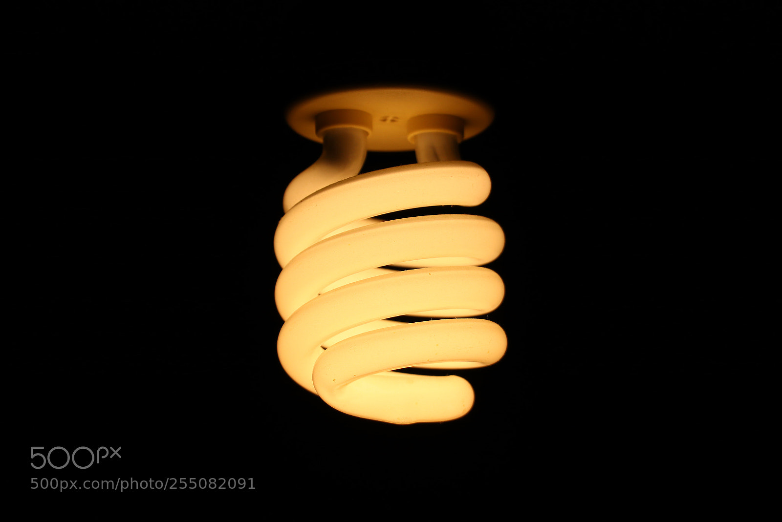 Canon EOS 80D sample photo. Light photography