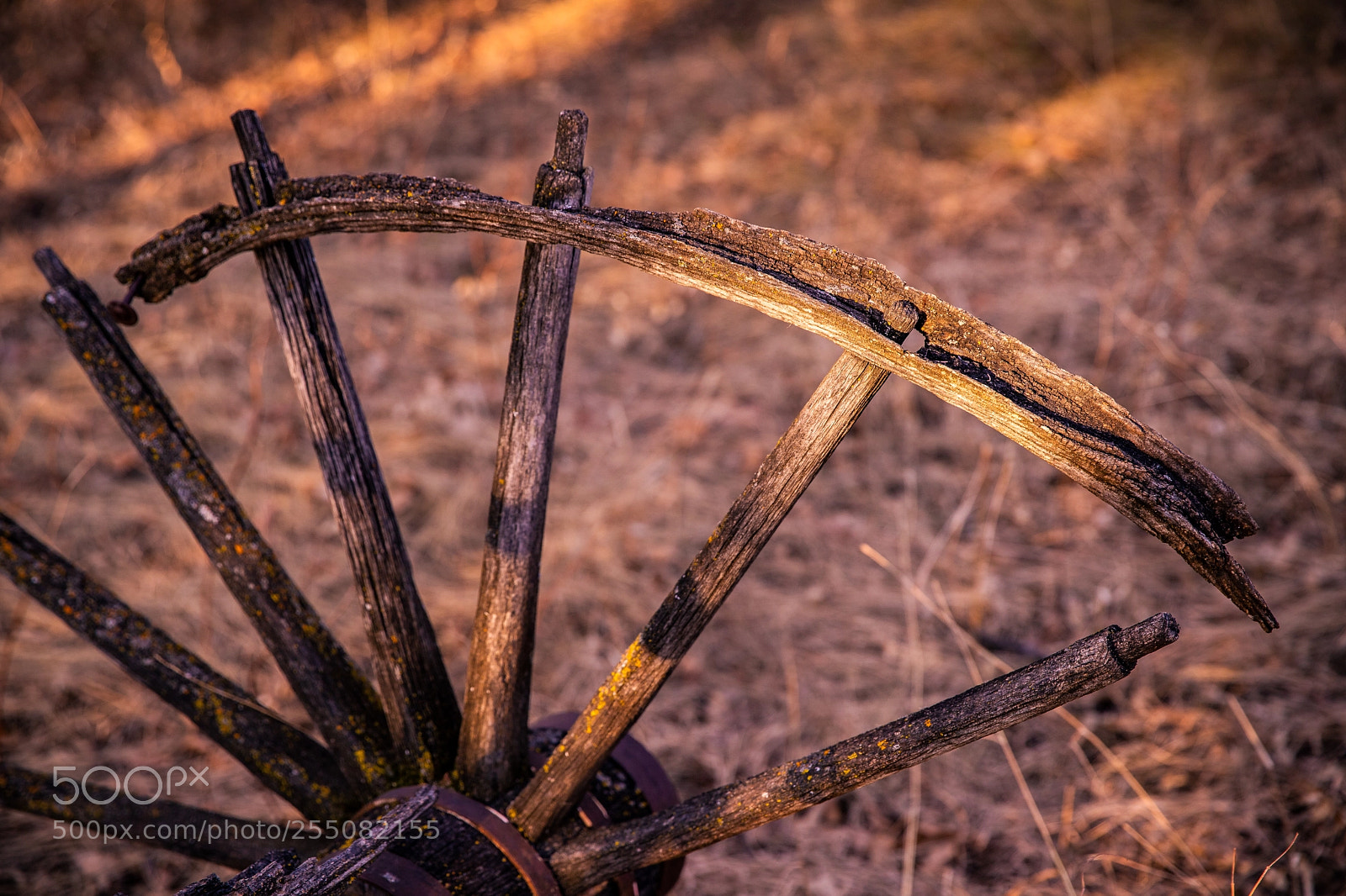 Canon EOS 6D Mark II sample photo. Wooden wheel photography