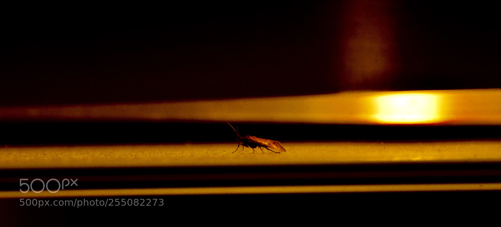 Nikon D5100 sample photo. Dark&light photography