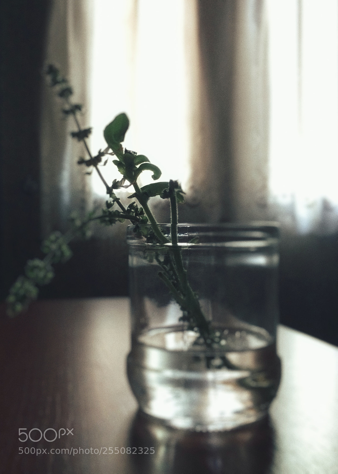 Apple iPhone 5s sample photo. Untitled photography
