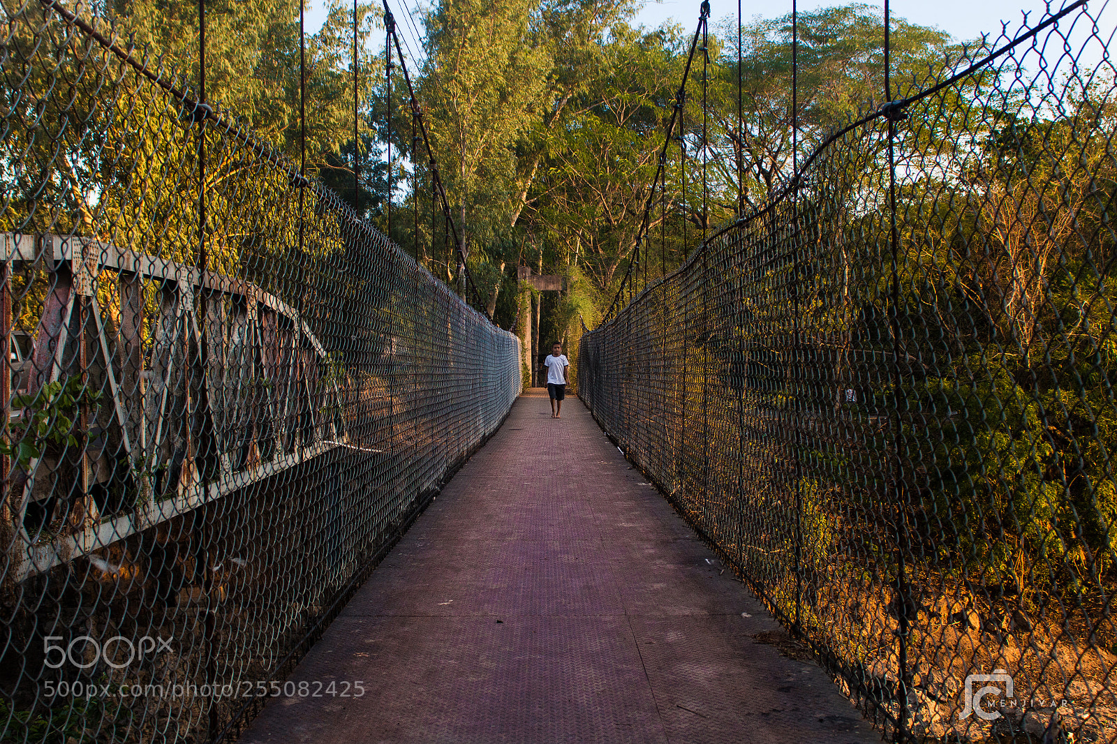 Canon EOS 70D sample photo. Suspension bridge photography