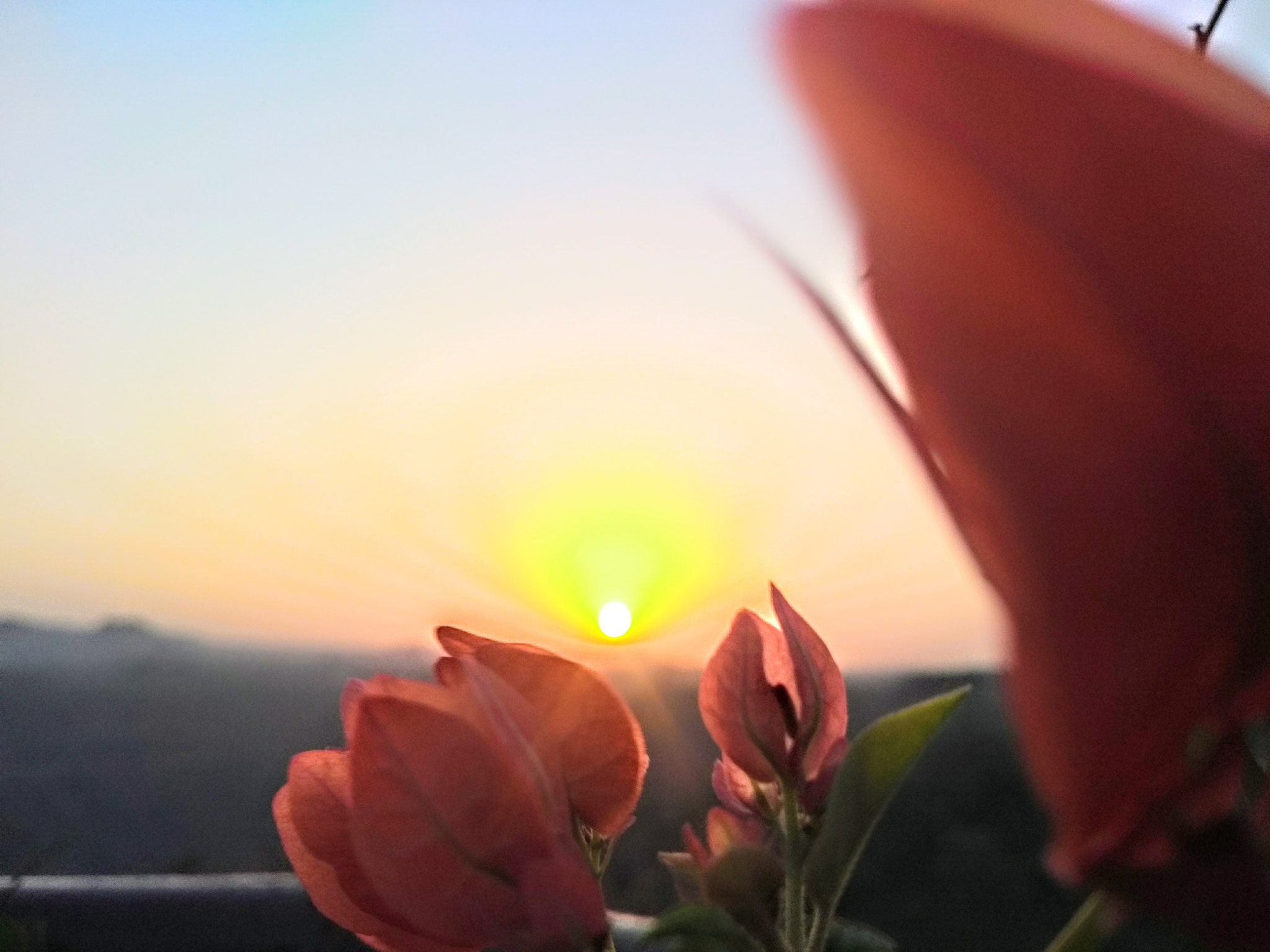 Motorola Moto G (5th Gen) sample photo. Sunrise, sunrise, looks like morning in your eyes. photography