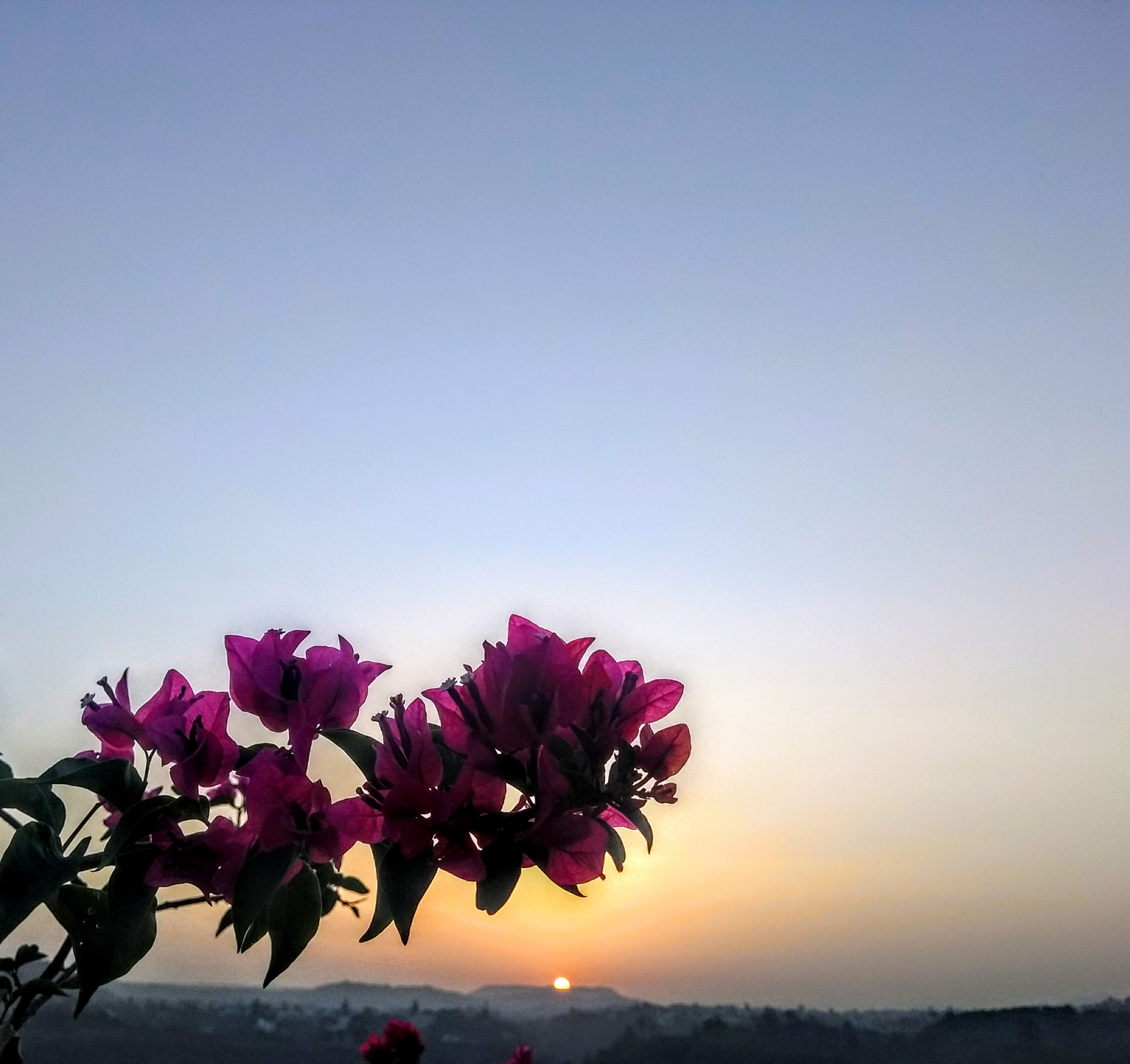 Motorola Moto G (5th Gen) sample photo. Lonavala sunrise photography