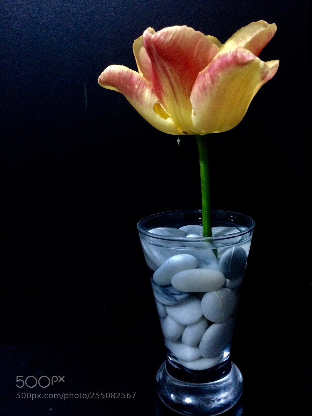 Apple iPhone 5s sample photo. Untitled photography