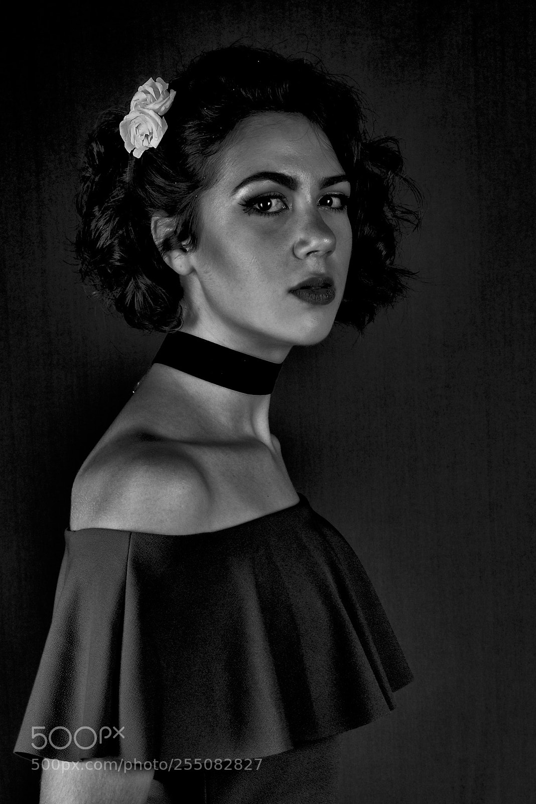 Nikon D810 sample photo. Untitled photography