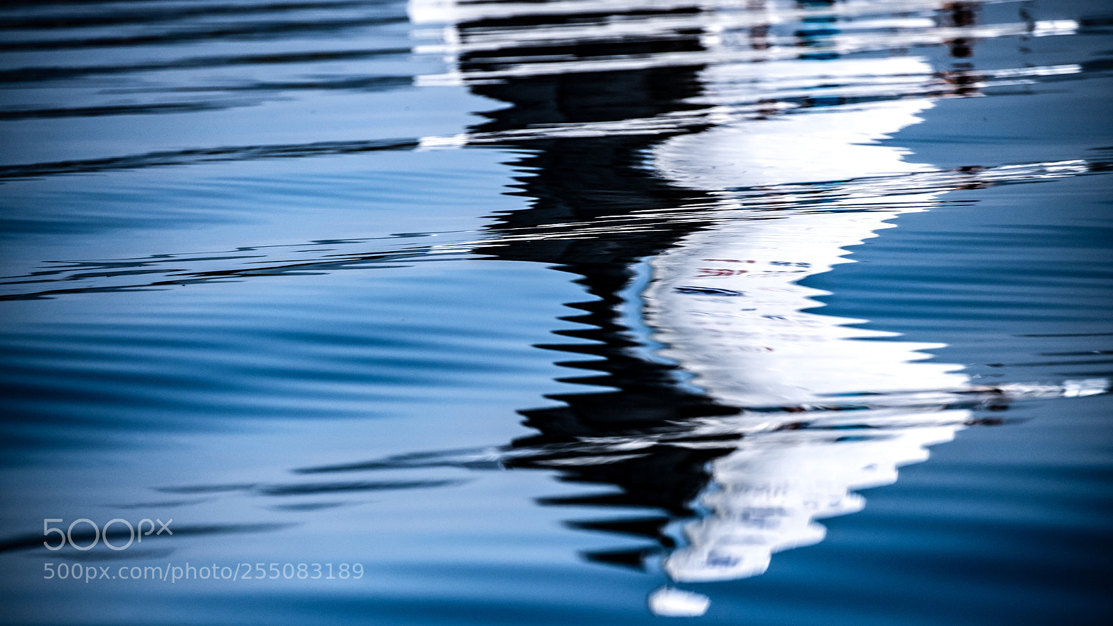 Nikon D5 sample photo. Refelections in the blue photography