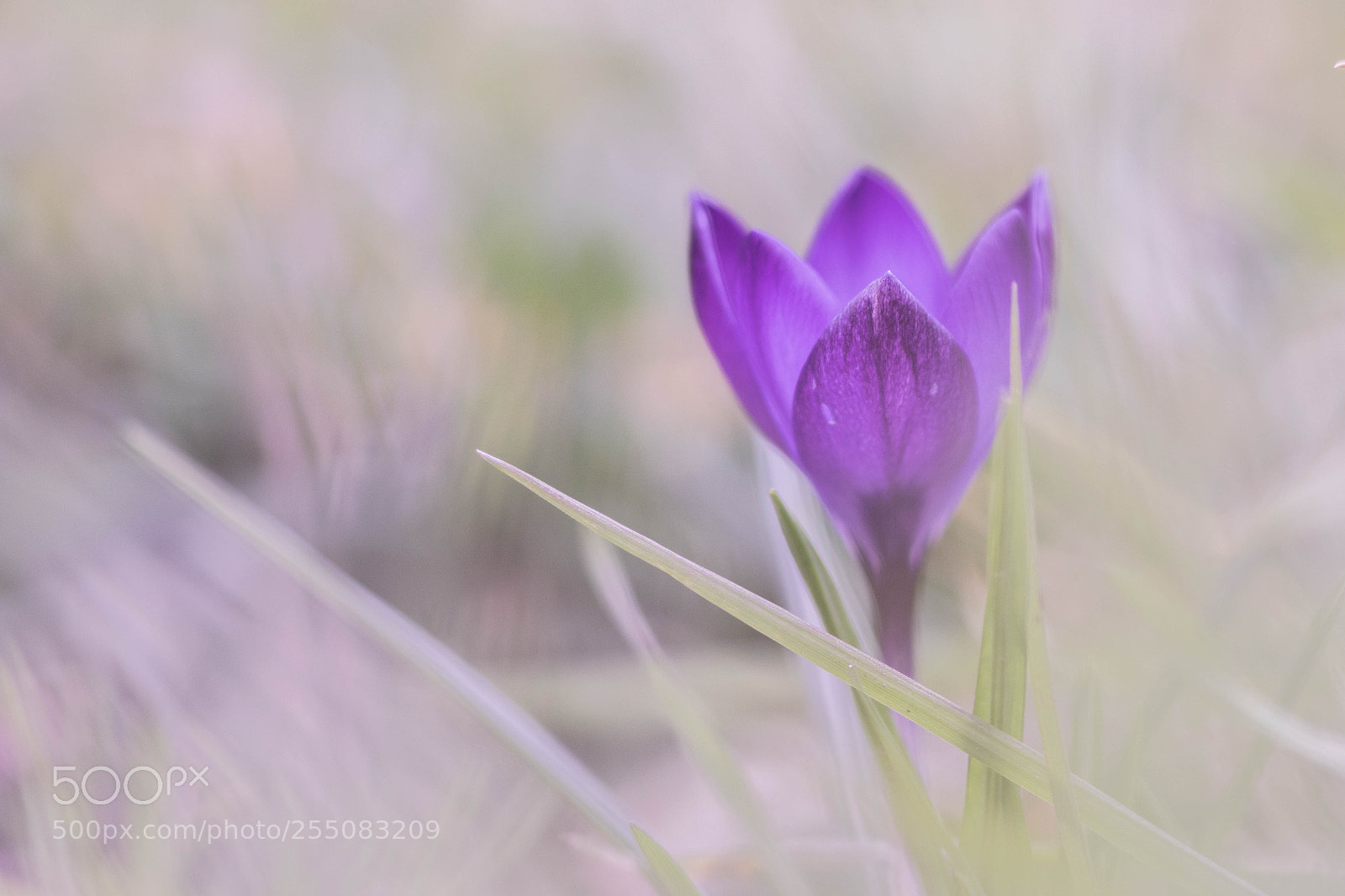 Canon EOS 7D Mark II sample photo. A photography