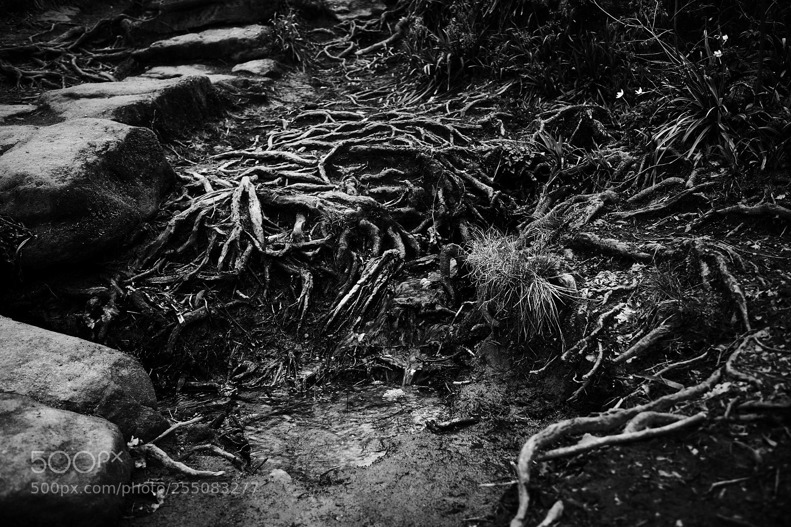 Canon EOS 5D Mark II sample photo. Hardcastle crag (a) photography
