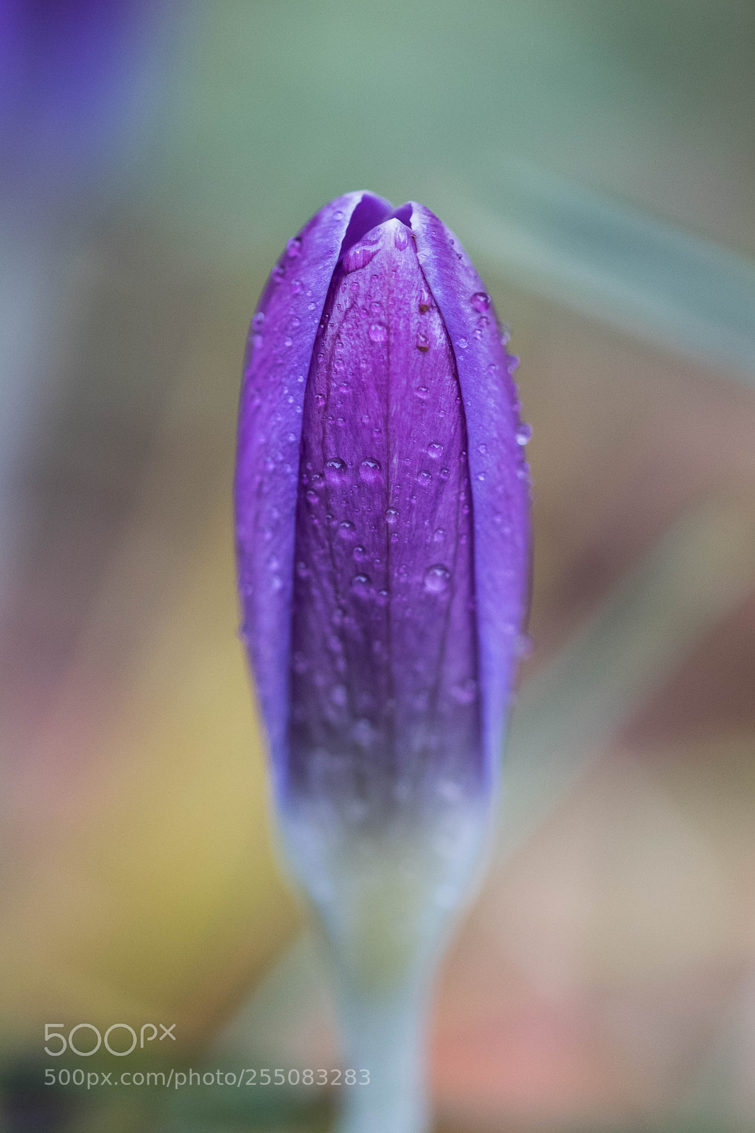 Canon EOS 7D Mark II sample photo. 243a9341-3.jpg photography