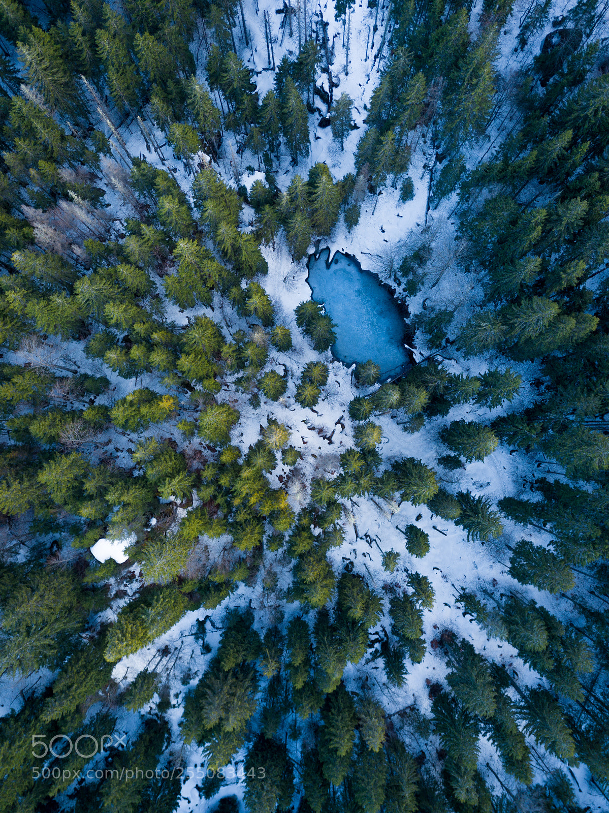 DJI FC220 sample photo. Until found photography