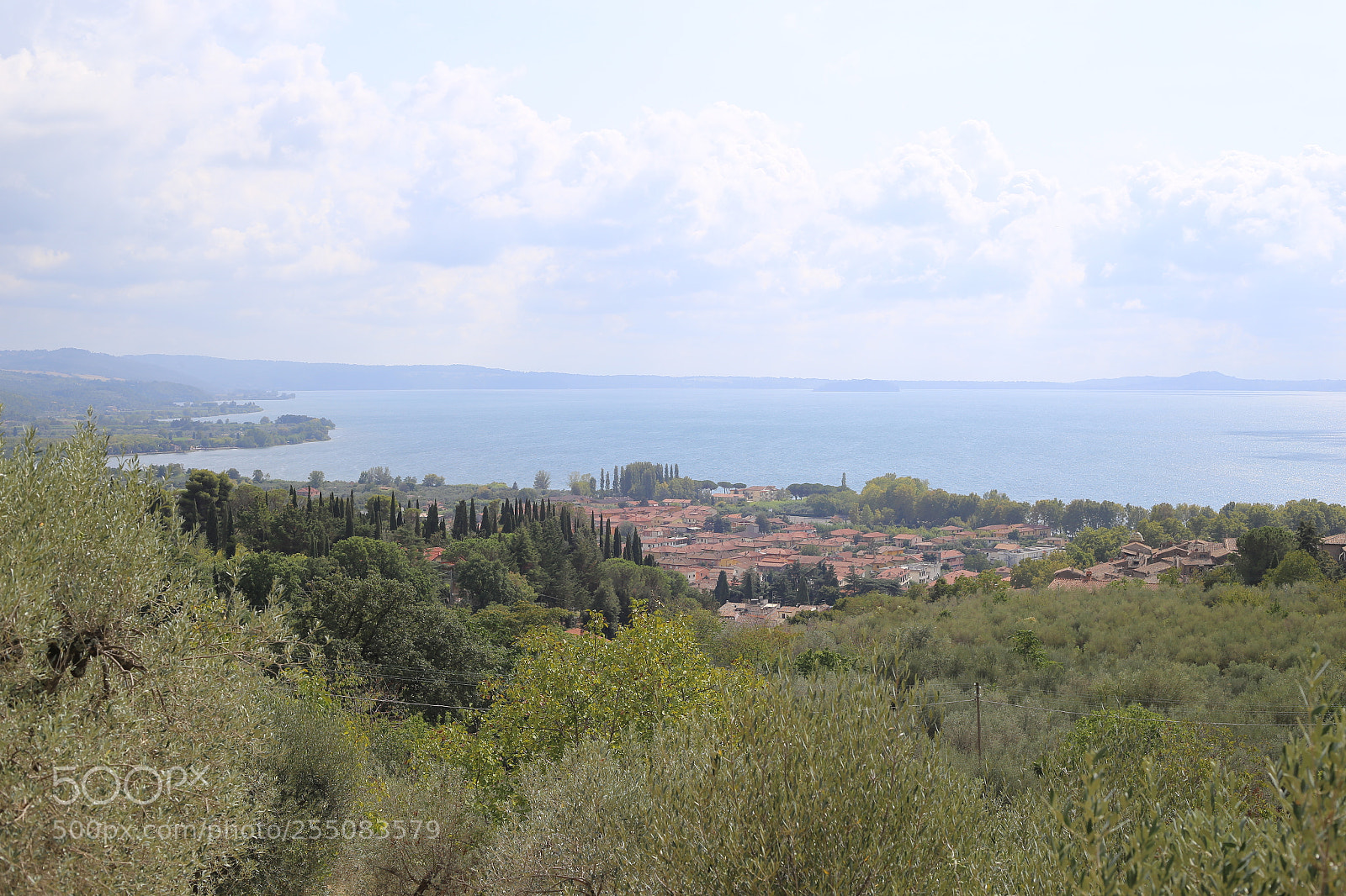Canon EOS 6D + Canon EF 50mm F1.8 II sample photo. Trip to umbria tuscany photography