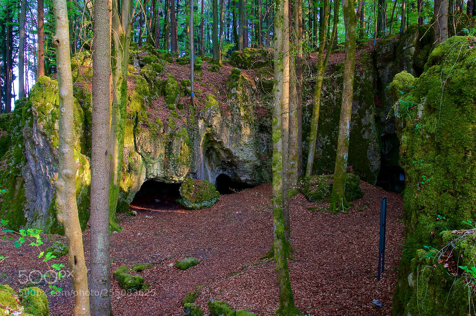 Pentax K-3 II sample photo. Esperhöhle photography
