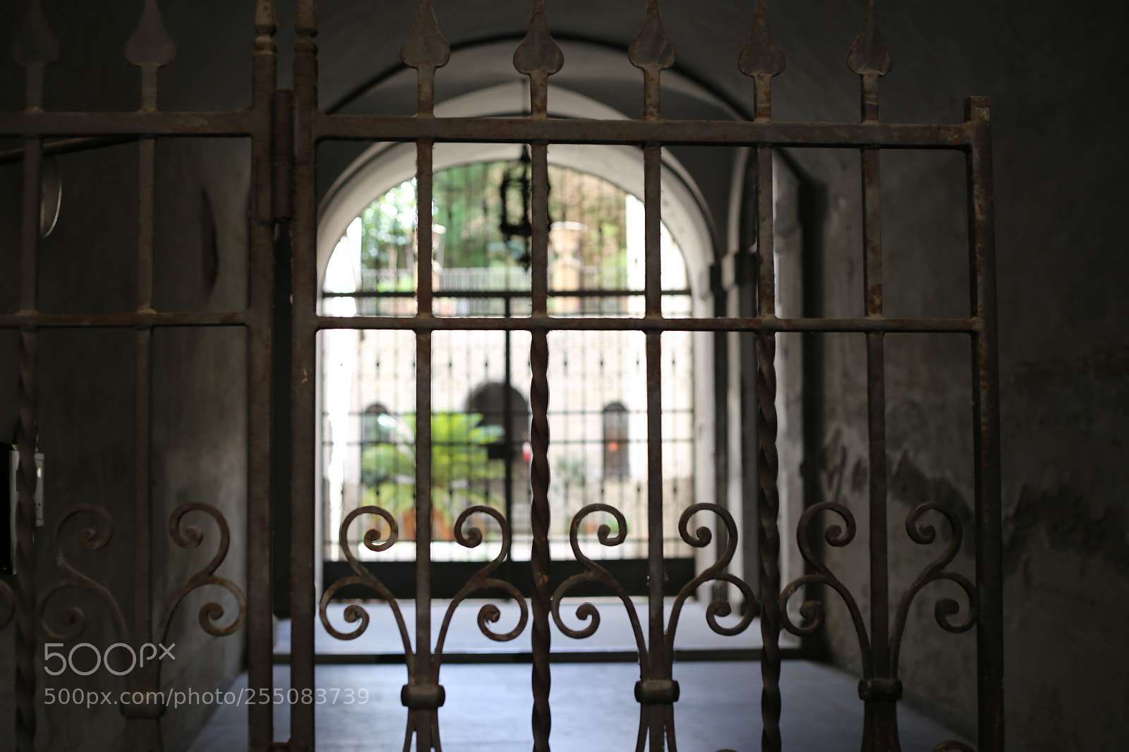 Canon EOS 6D + Canon EF 50mm F1.8 II sample photo. Trip to umbria tuscany photography