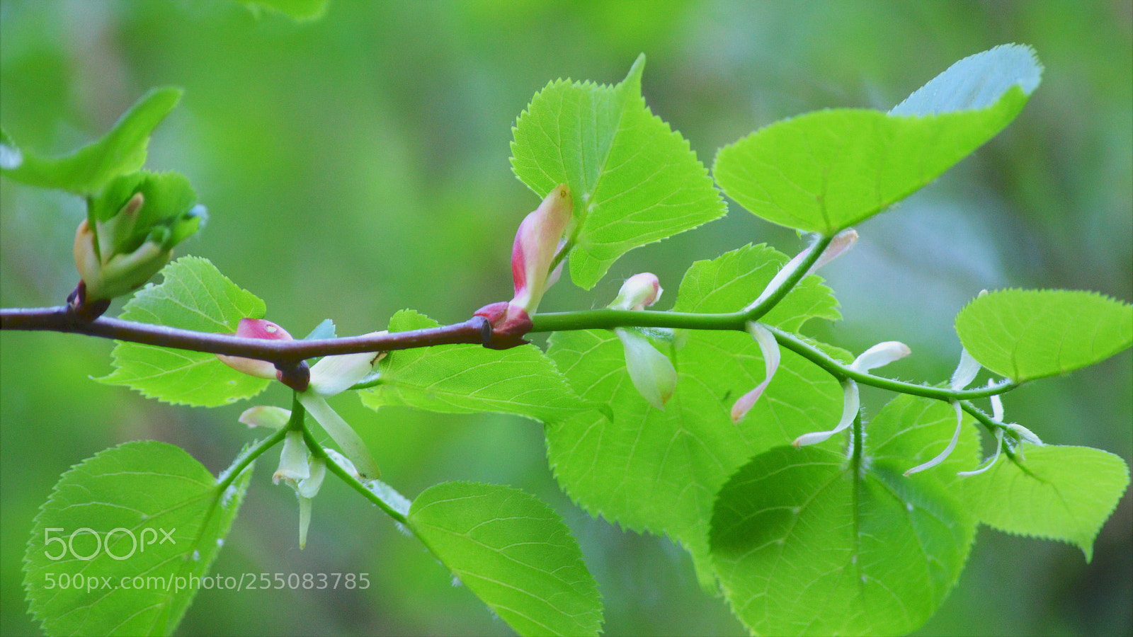 Nikon D3200 sample photo. Untitled photography
