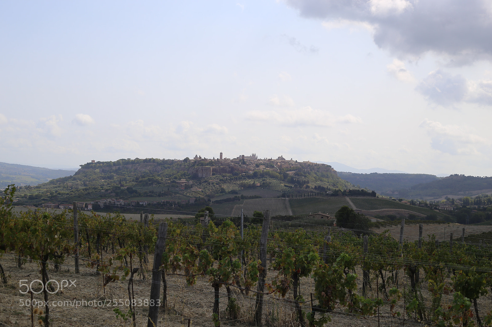 Canon EOS 6D + Canon EF 50mm F1.8 II sample photo. Trip to umbria tuscany photography