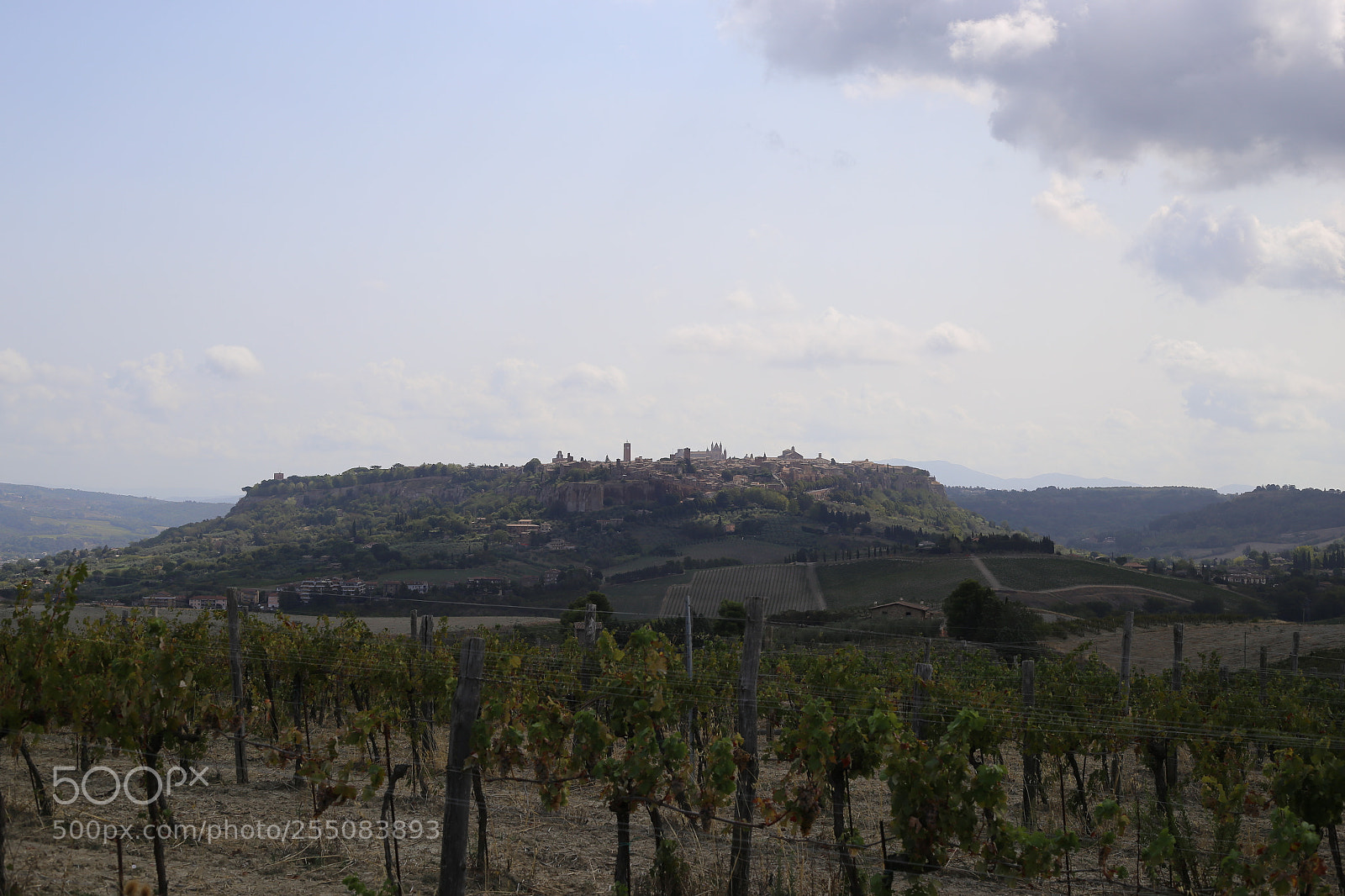 Canon EOS 6D + Canon EF 50mm F1.8 II sample photo. Trip to umbria tuscany photography