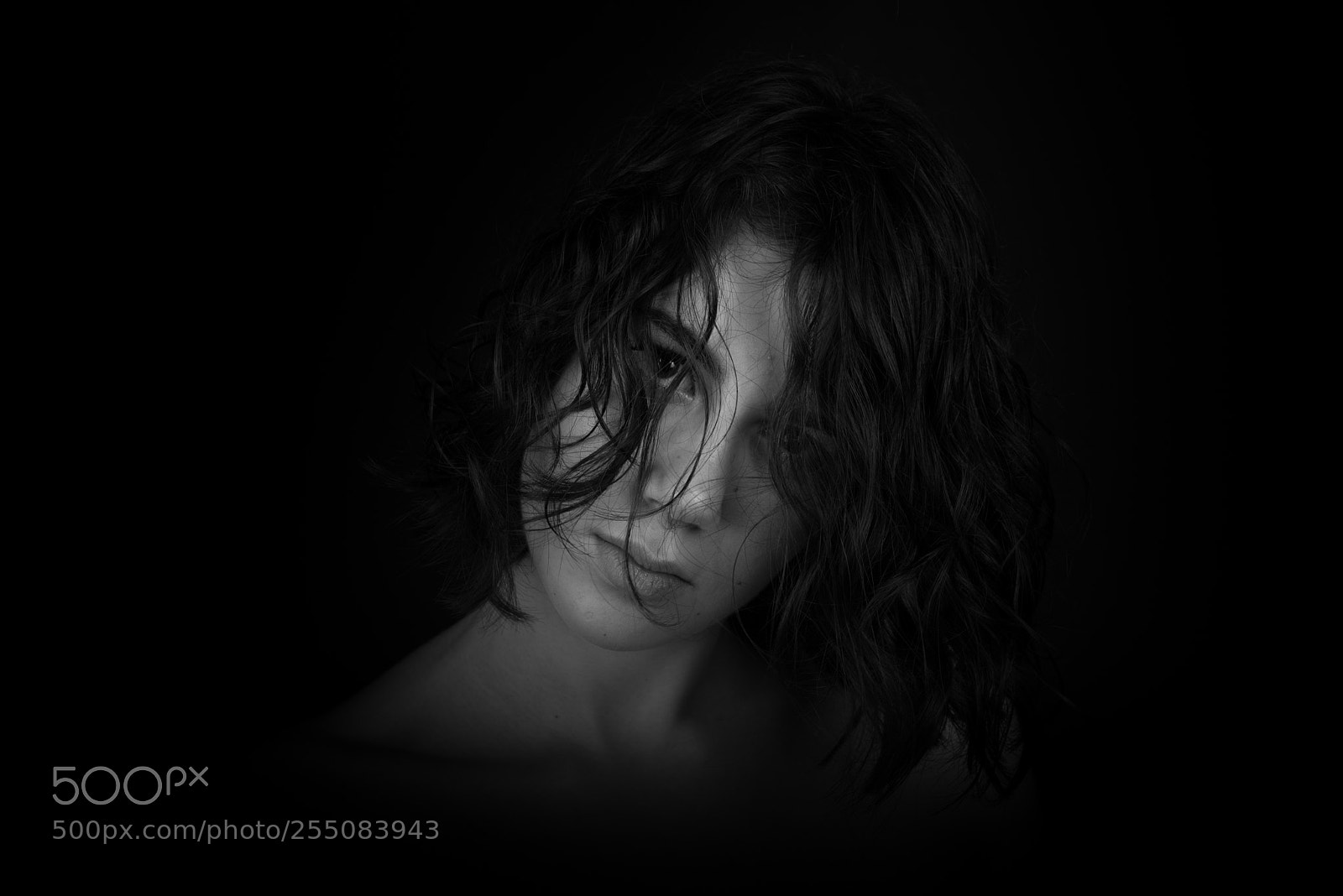 Nikon D810 sample photo. Untitled photography