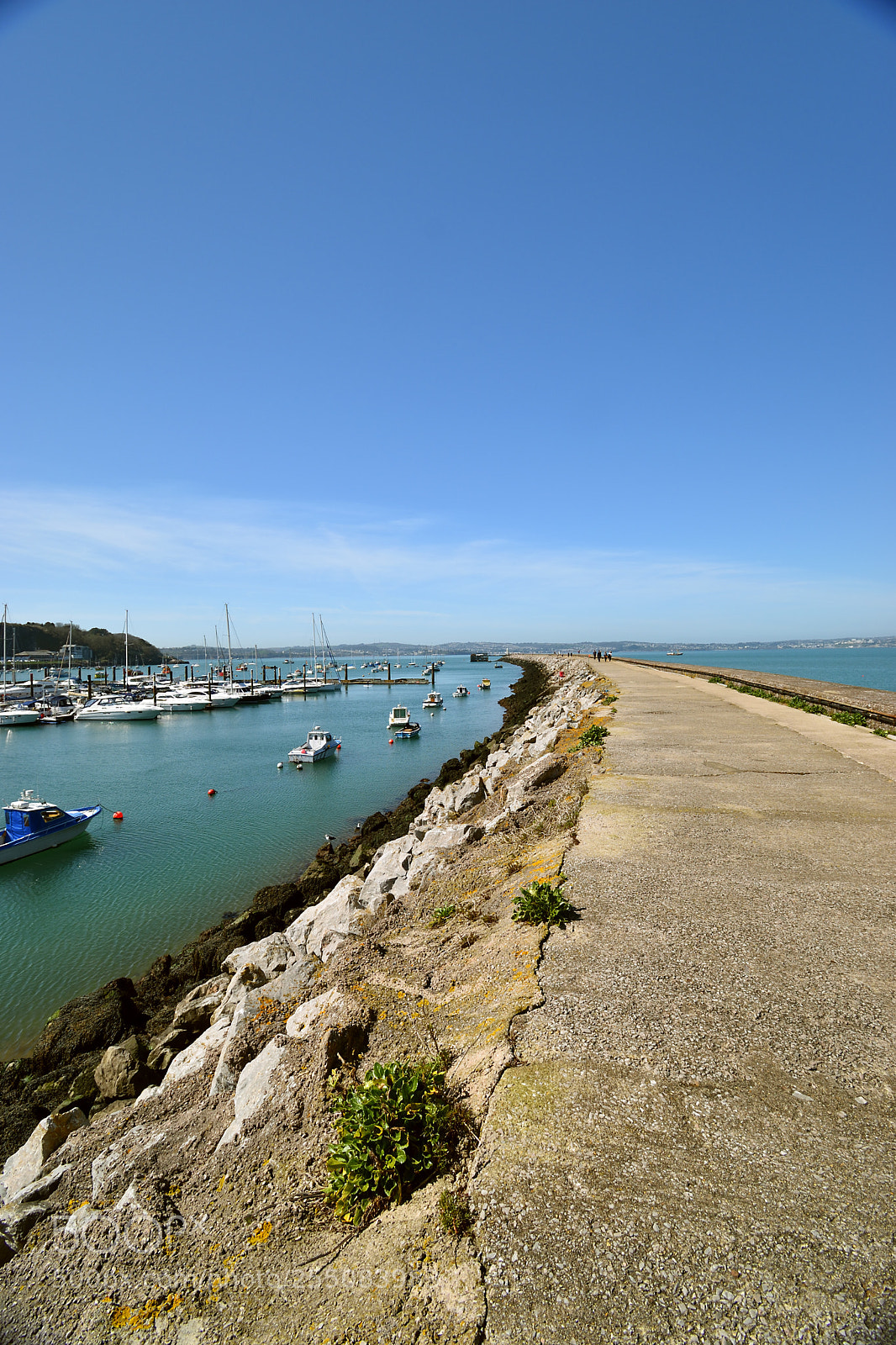 Nikon D5600 sample photo. Dsc_0074_00001.jpg photography