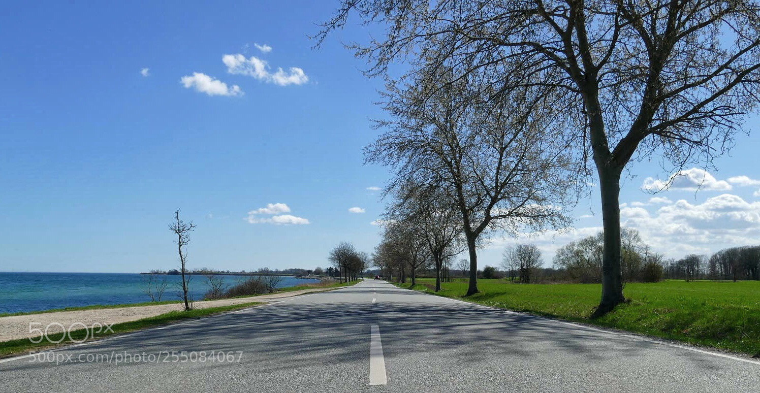 Panasonic Lumix DMC-FZ1000 sample photo. Kerteminde  photography