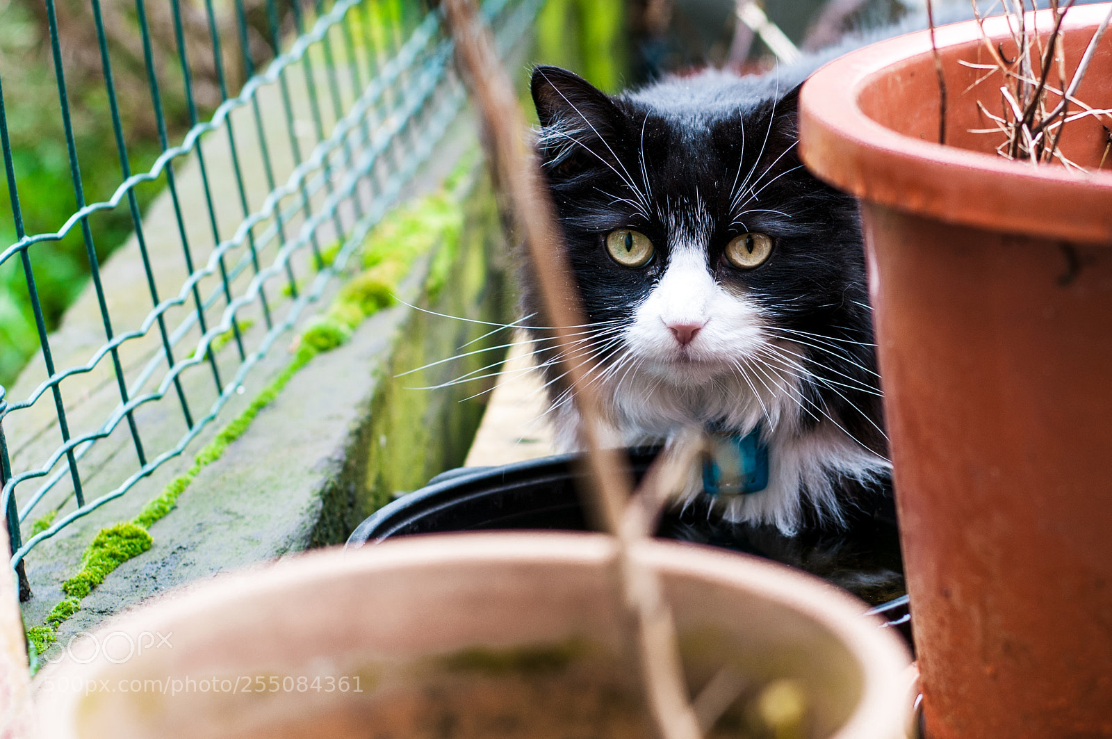 Nikon D300S sample photo. K. photography