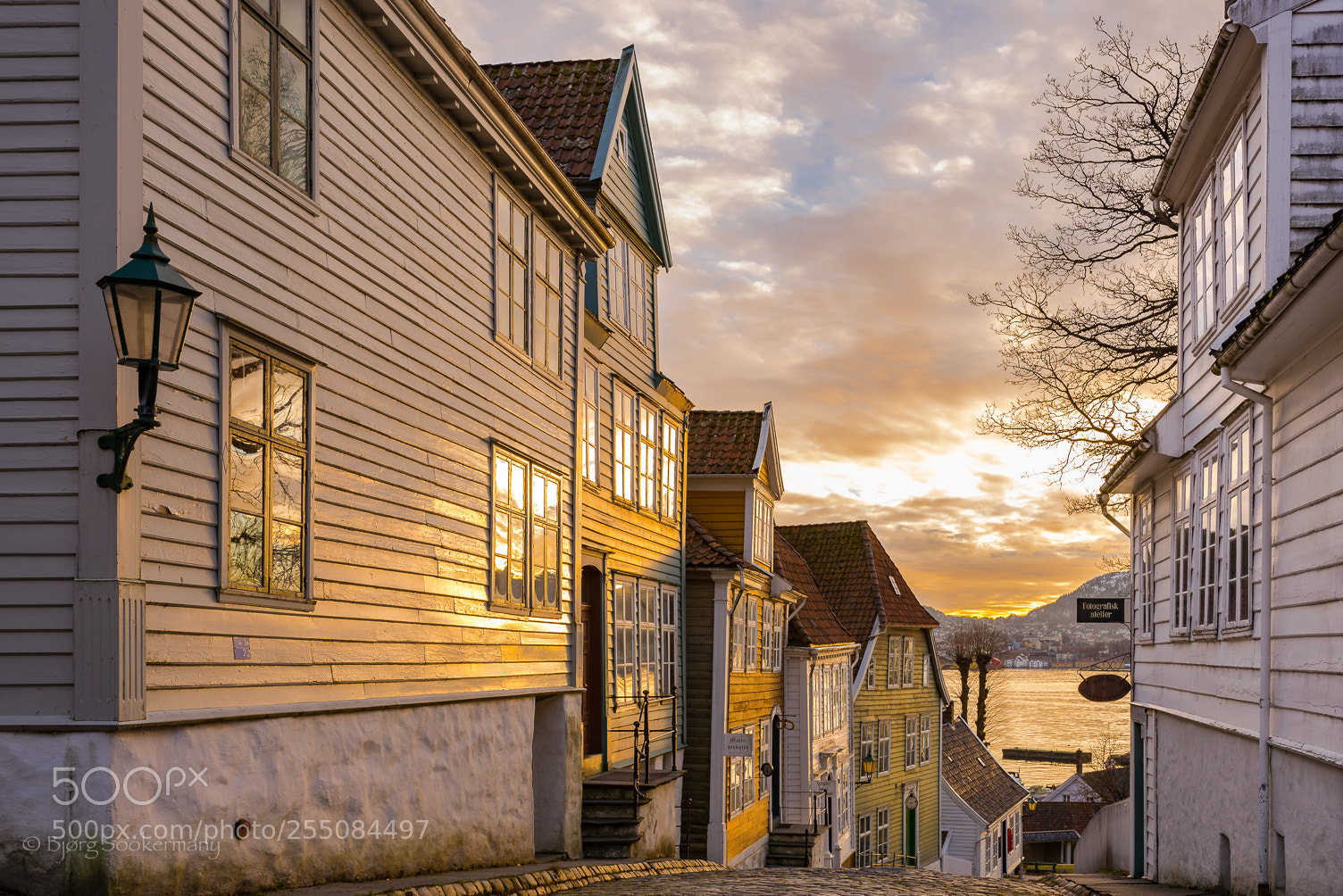 Nikon D600 sample photo. Old bergen photography
