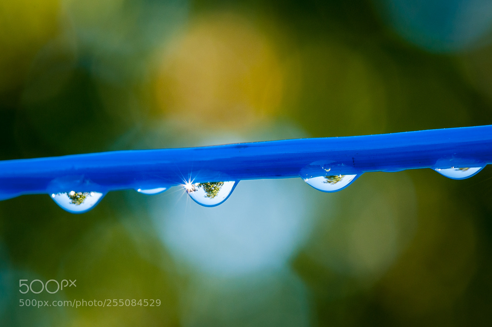Nikon D300S sample photo. Raindrops photography