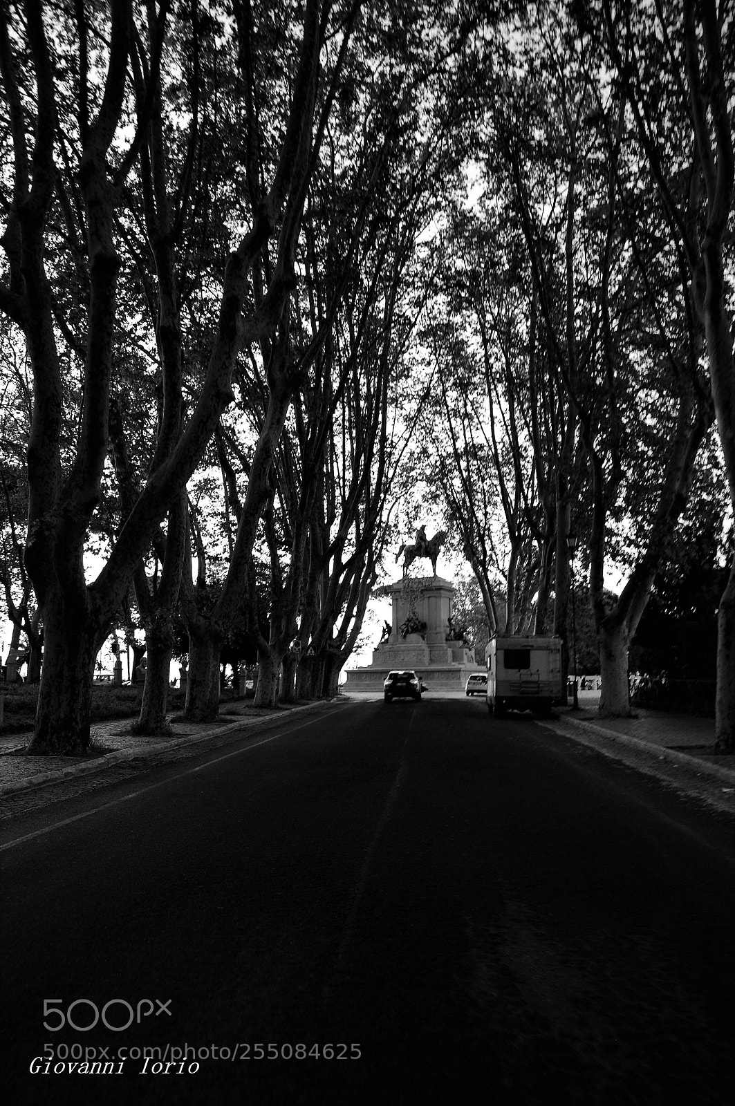 Nikon D90 sample photo. Strada alberata  photography