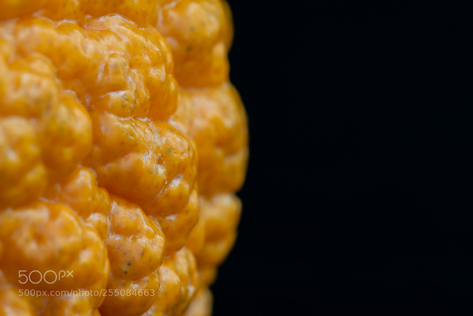 Nikon D5300 sample photo. Alternative orange skin photography