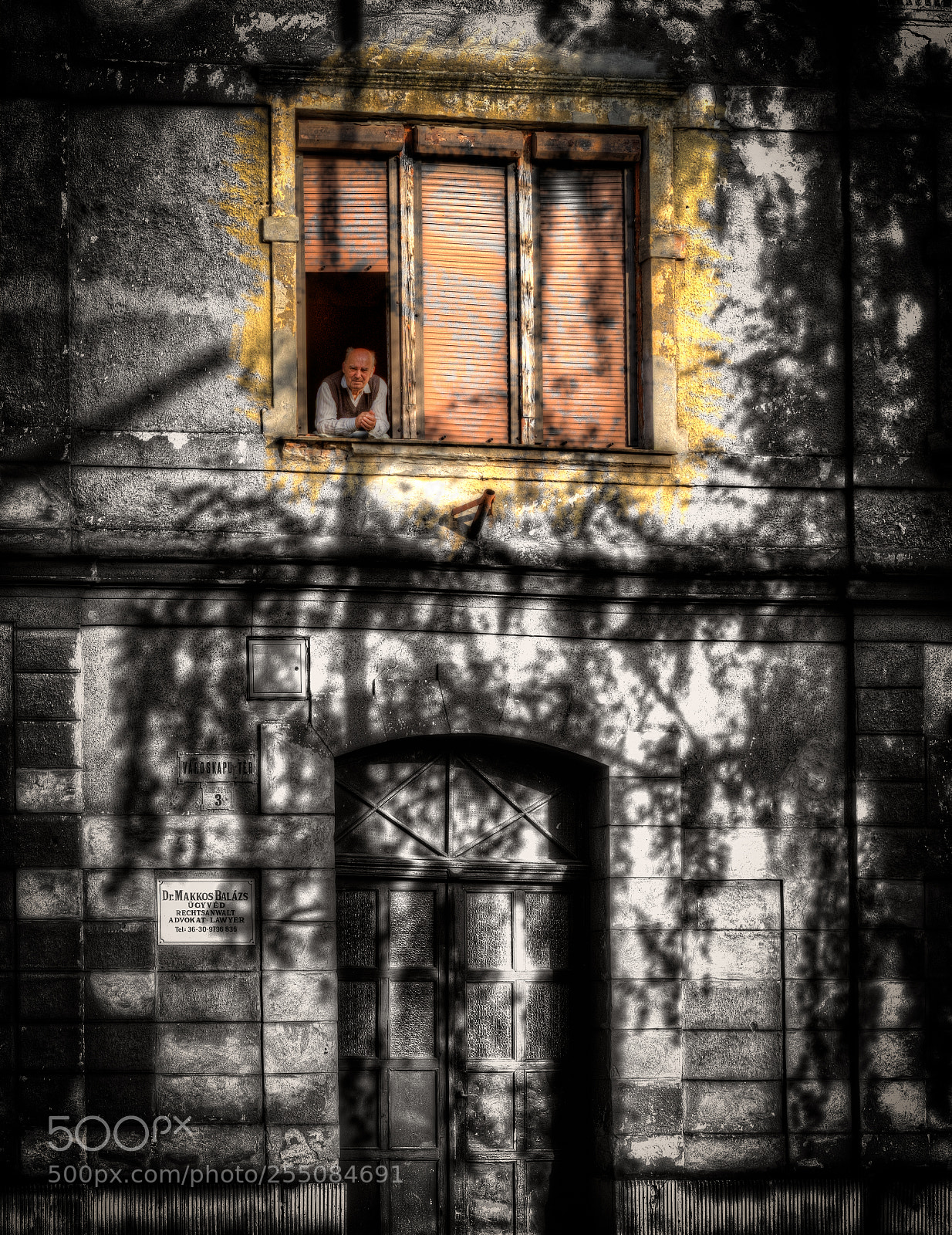 Sony a7 III sample photo. Man in the window photography