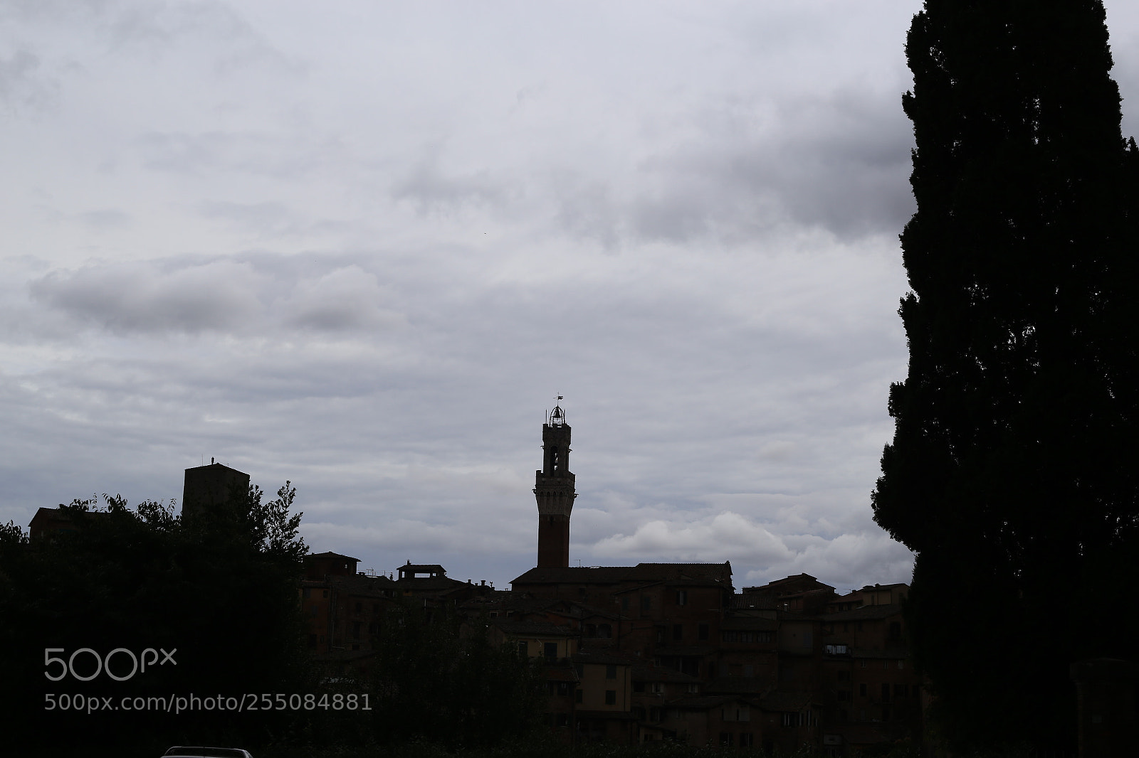 Canon EOS 6D + Canon EF 50mm F1.8 II sample photo. Trip to umbria tuscany photography