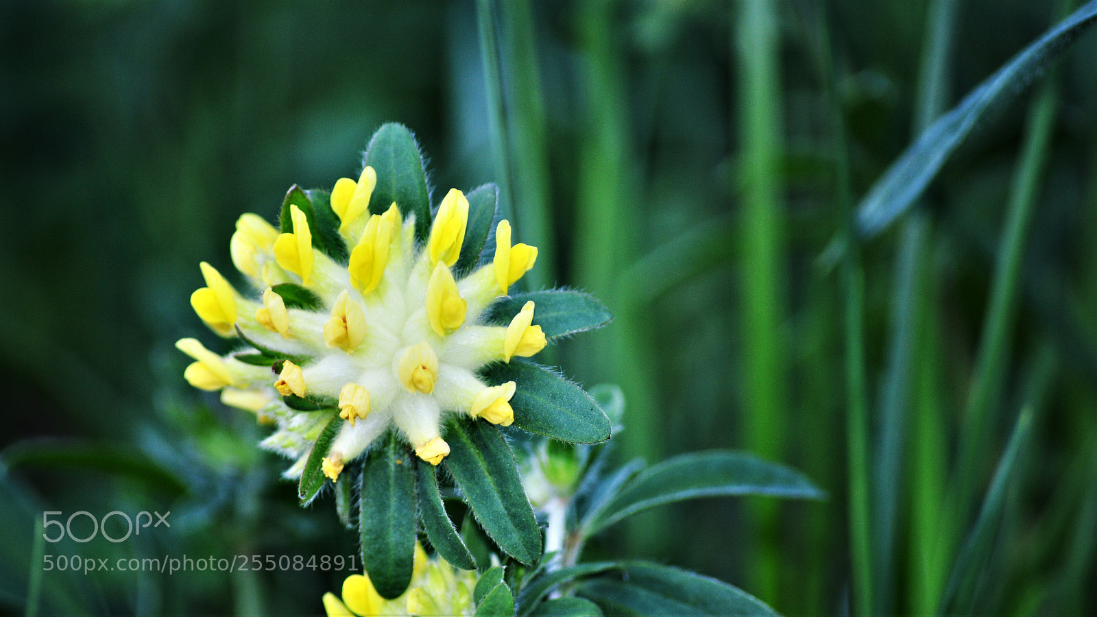 Nikon D3200 sample photo. Untitled photography