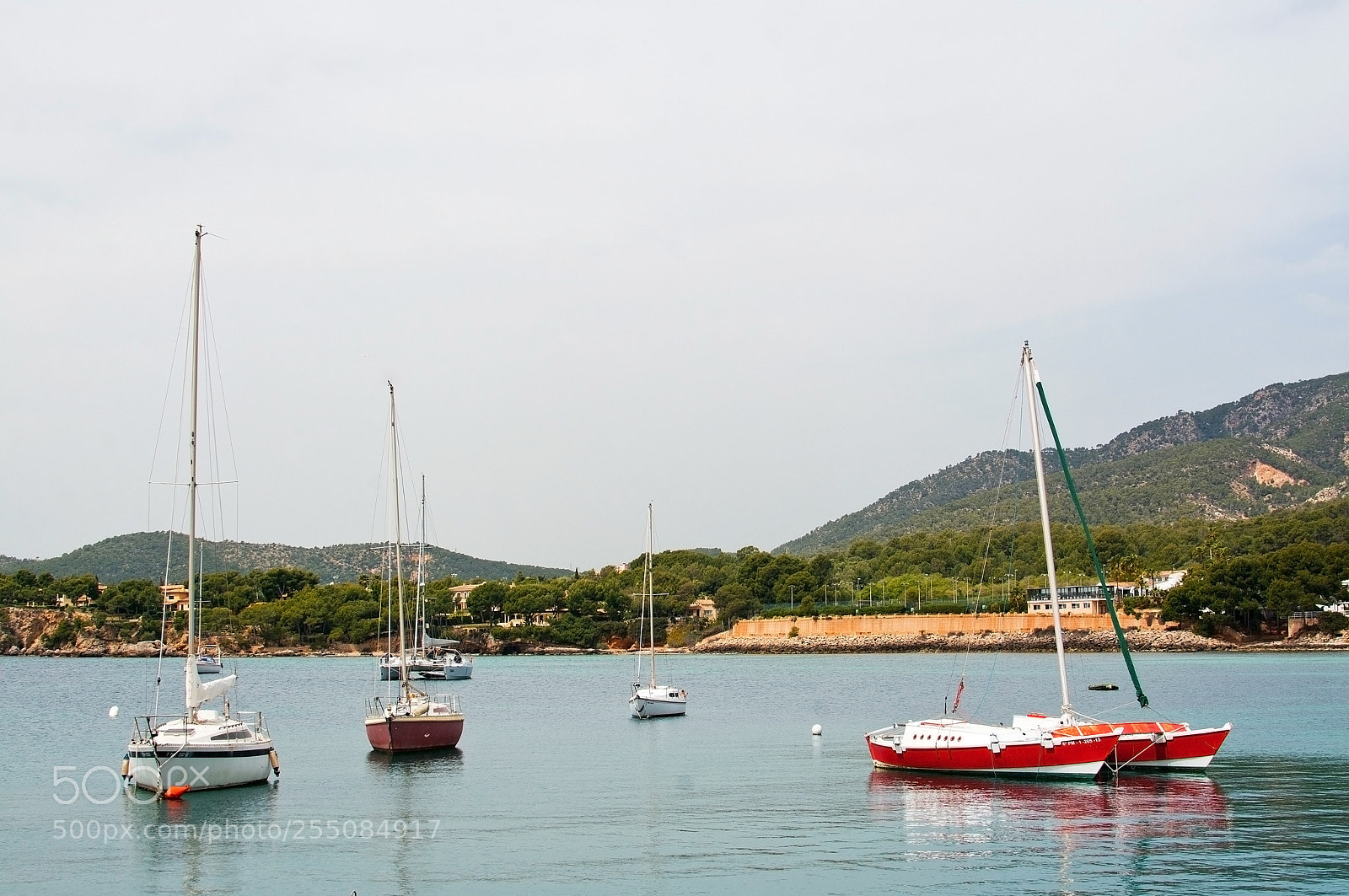 Nikon D7100 sample photo. Luxury yachts in puerto photography
