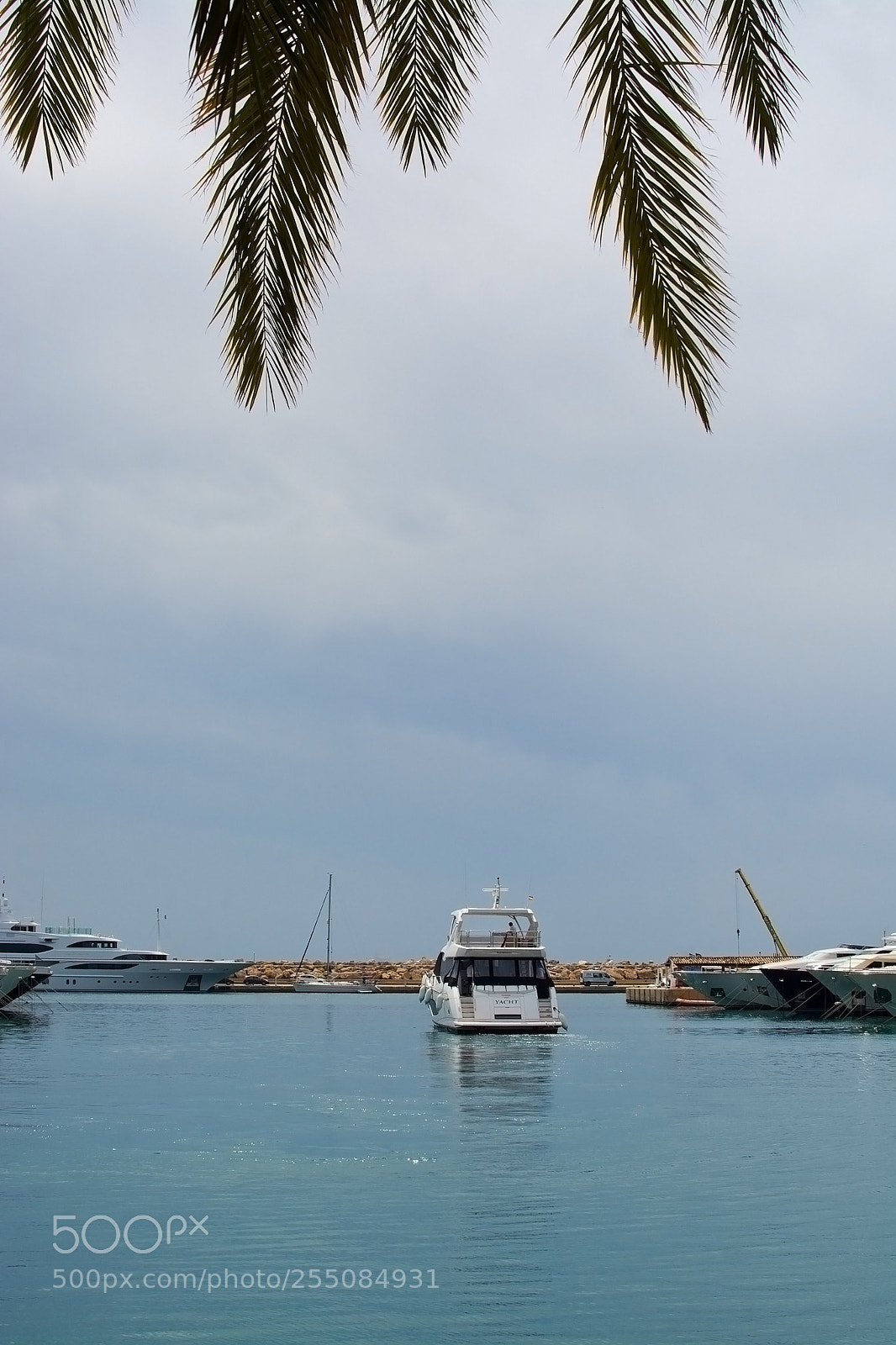 Nikon D7100 sample photo. Luxury yacht sails off photography
