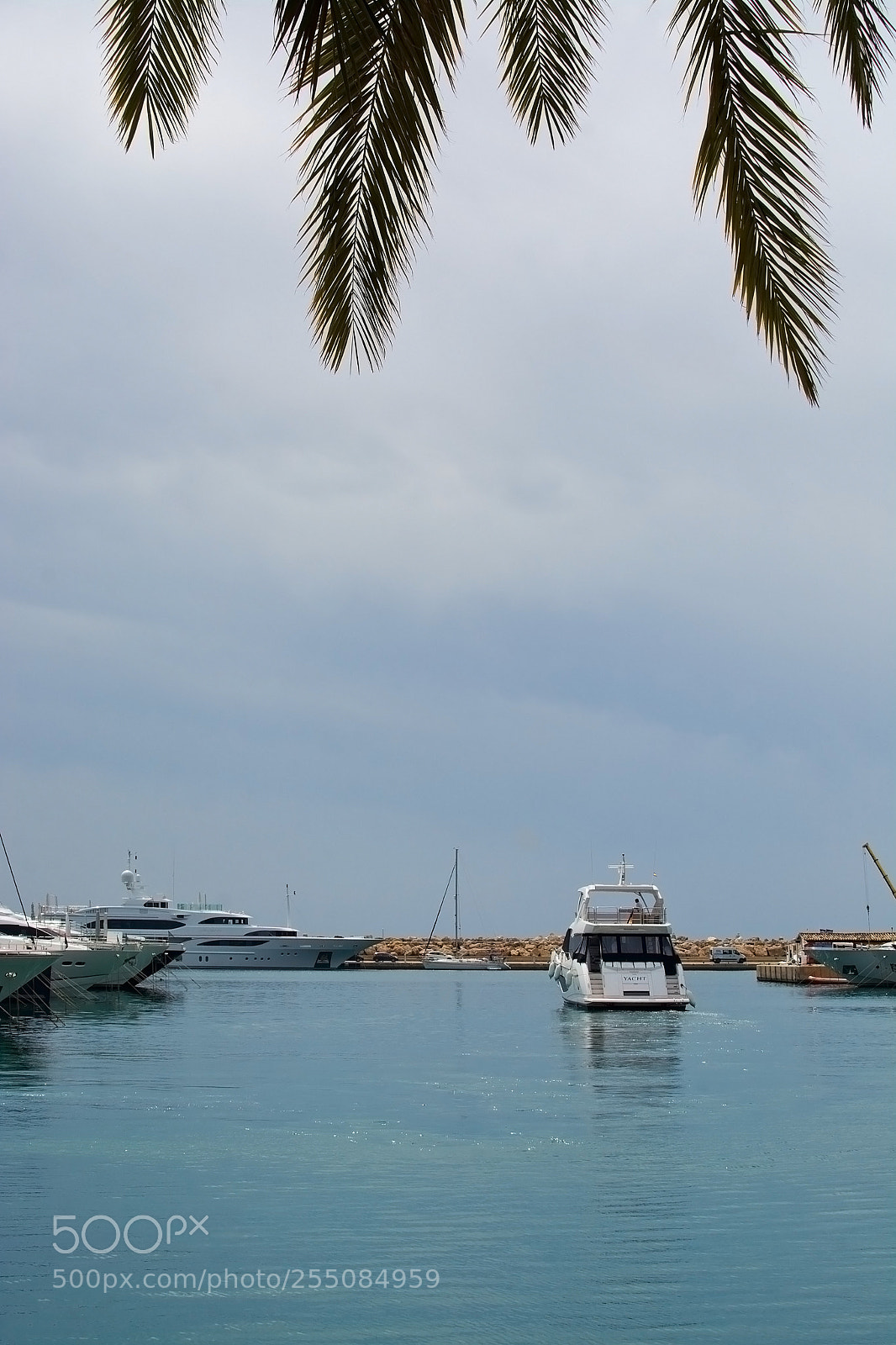 Nikon D7100 sample photo. Luxury yacht sails off photography