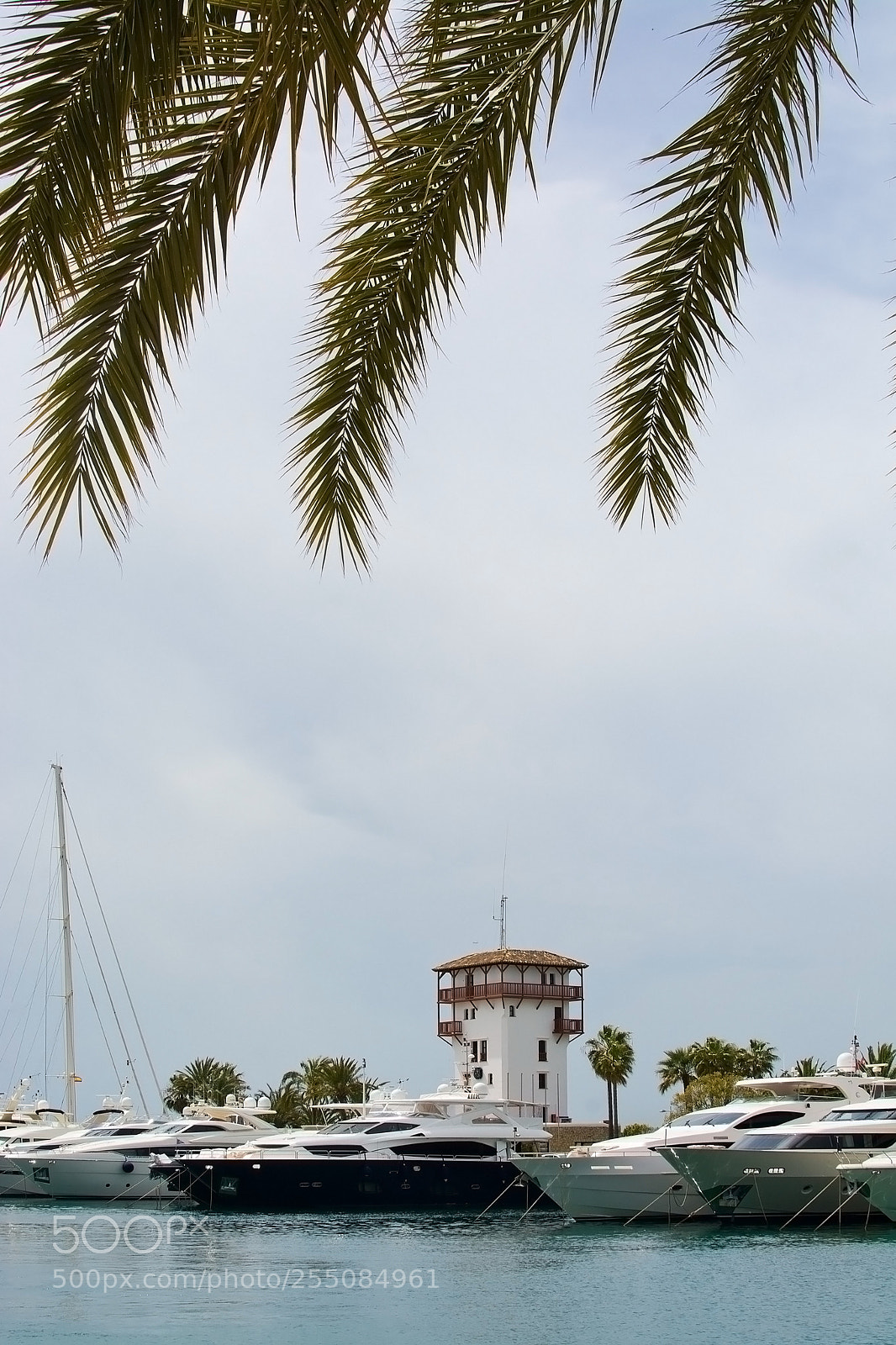 Nikon D7100 sample photo. Luxury yachts in puerto photography