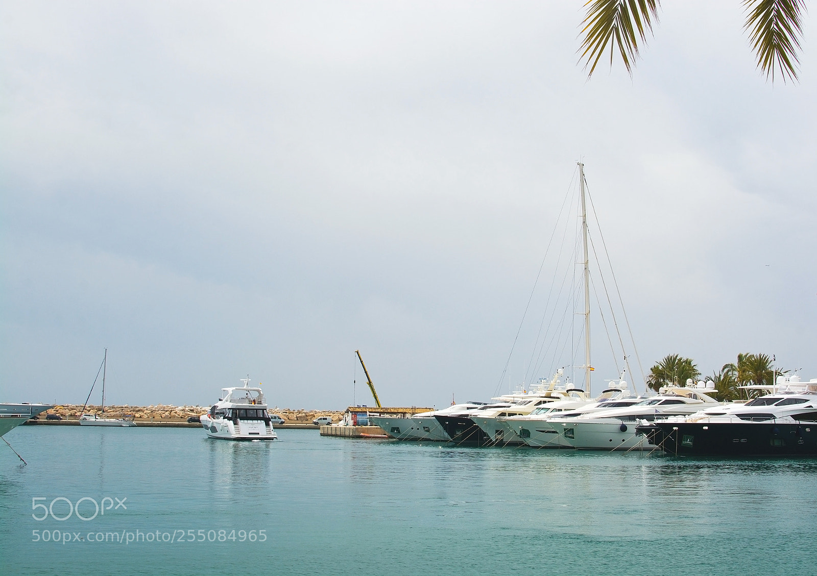 Nikon D7100 sample photo. Luxury yachts in puerto photography