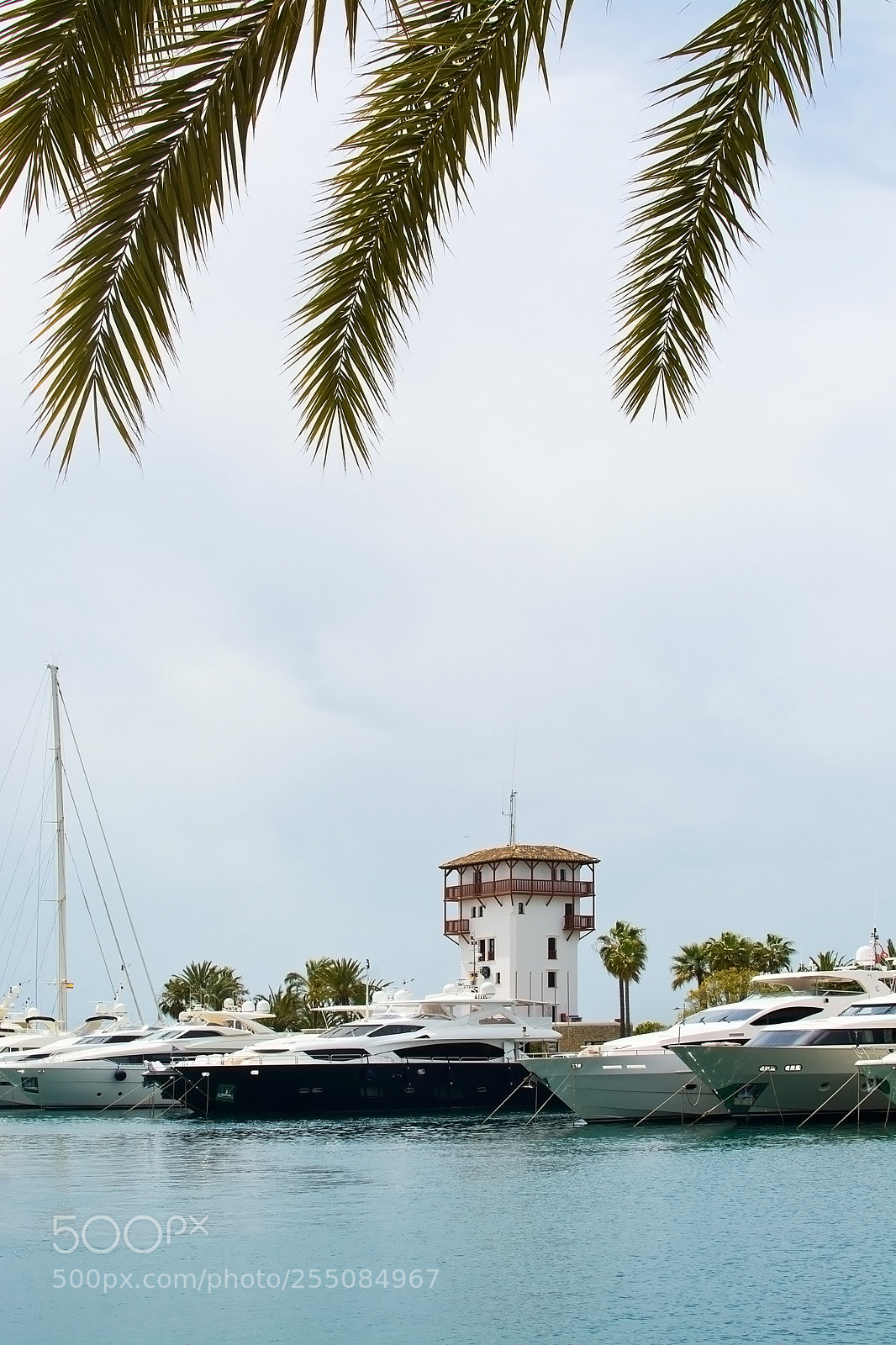 Nikon D7100 sample photo. Luxury yachts in puerto photography