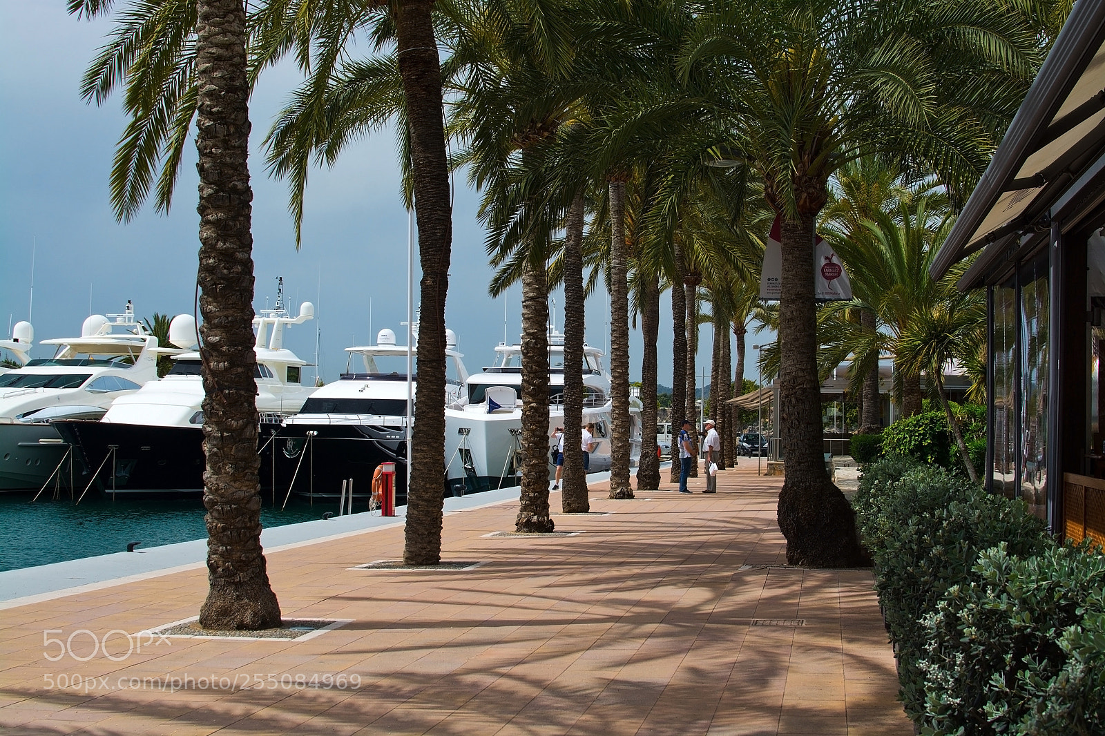 Nikon D7100 sample photo. Luxury yachts in puerto photography